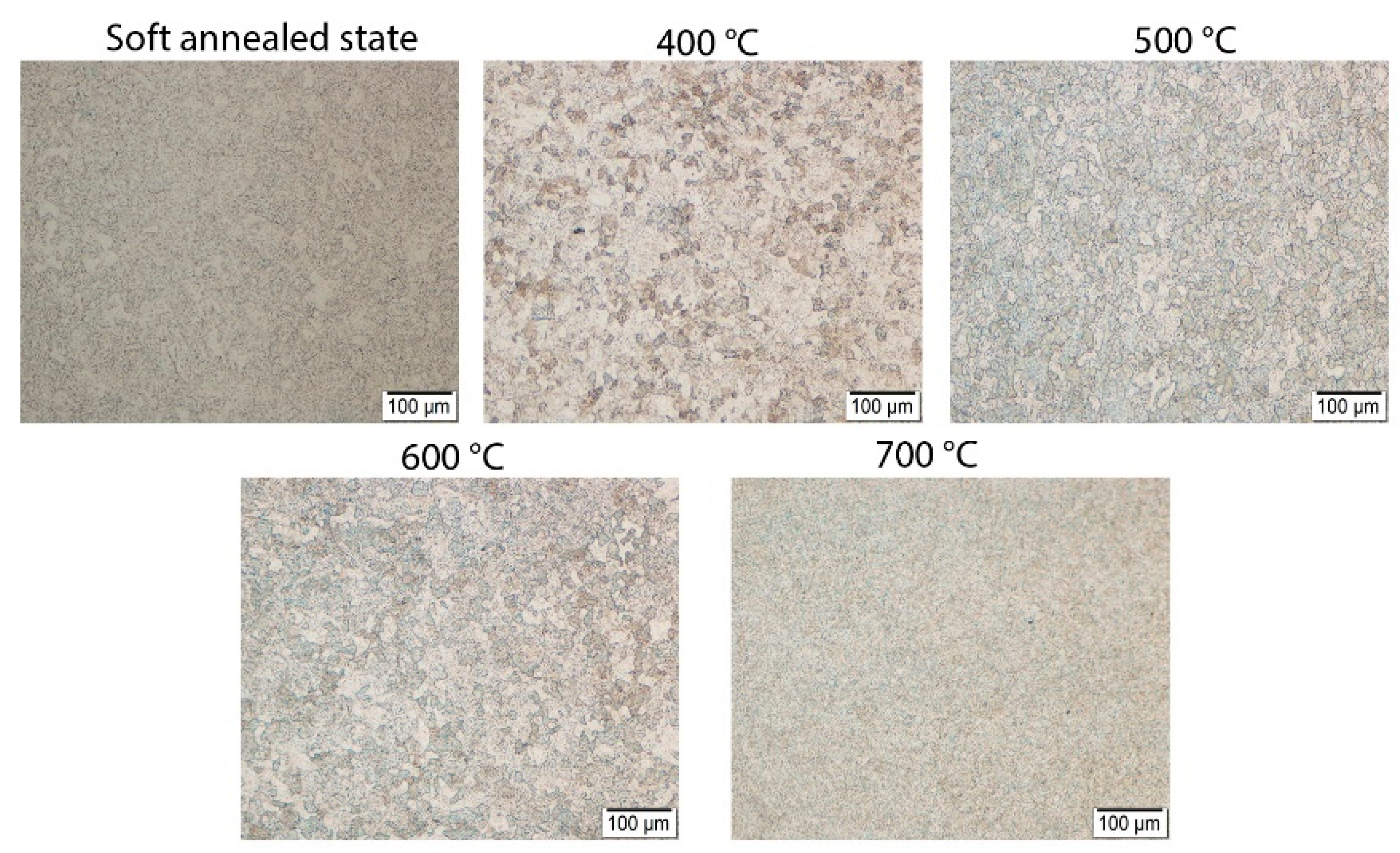 Metals 11 00758 g003