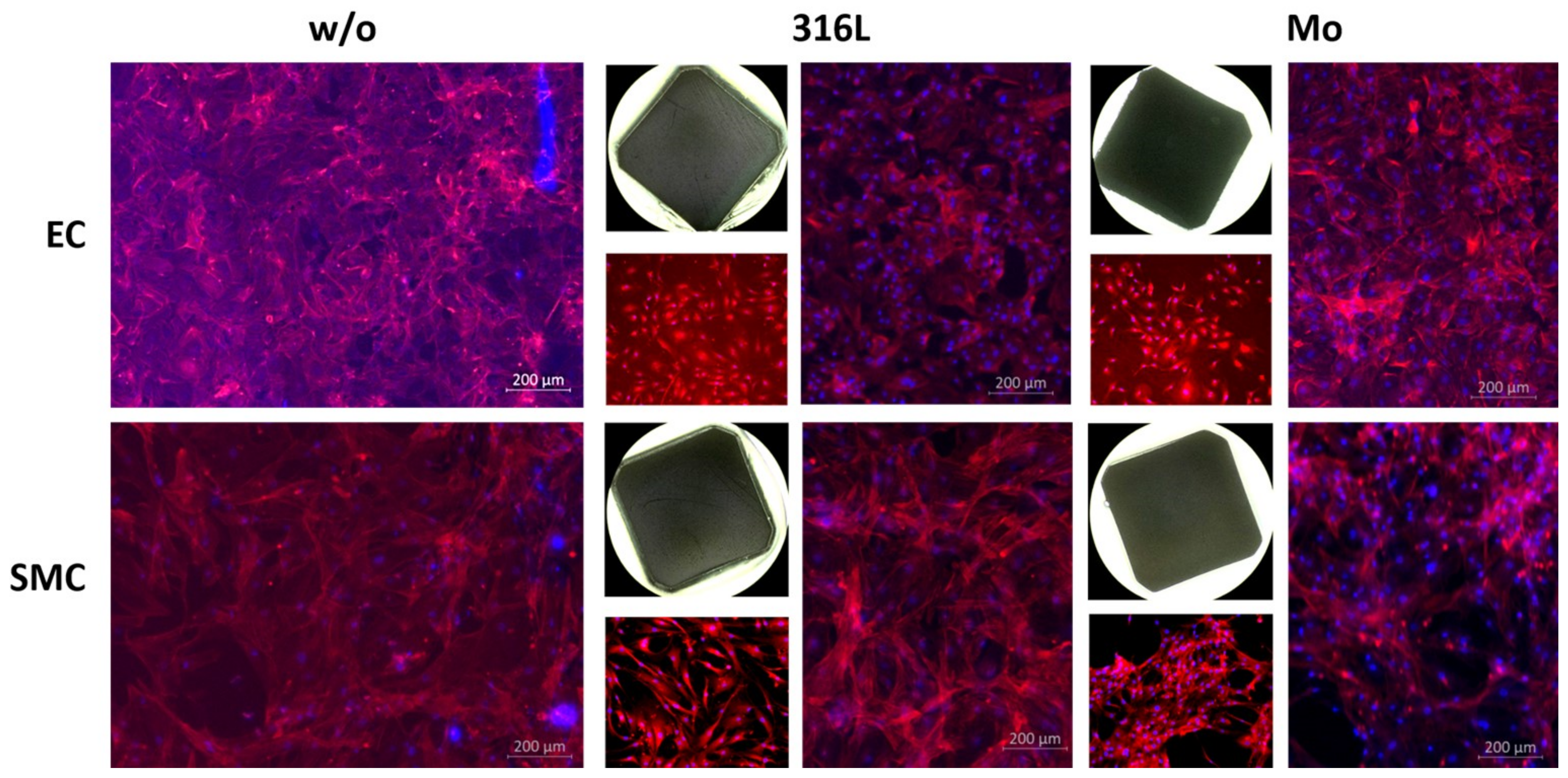 Metals 11 00761 g008