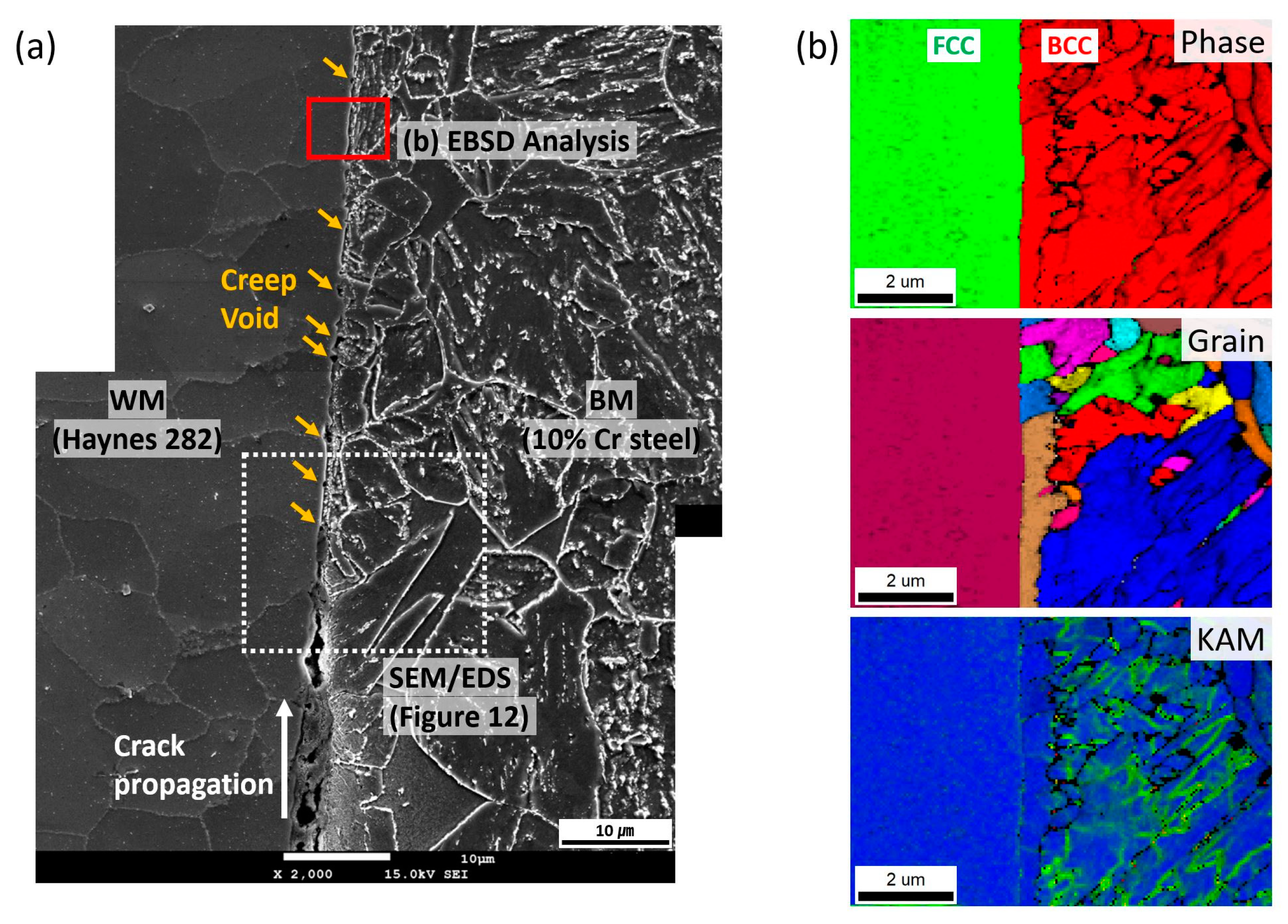 Metals 11 00764 g011