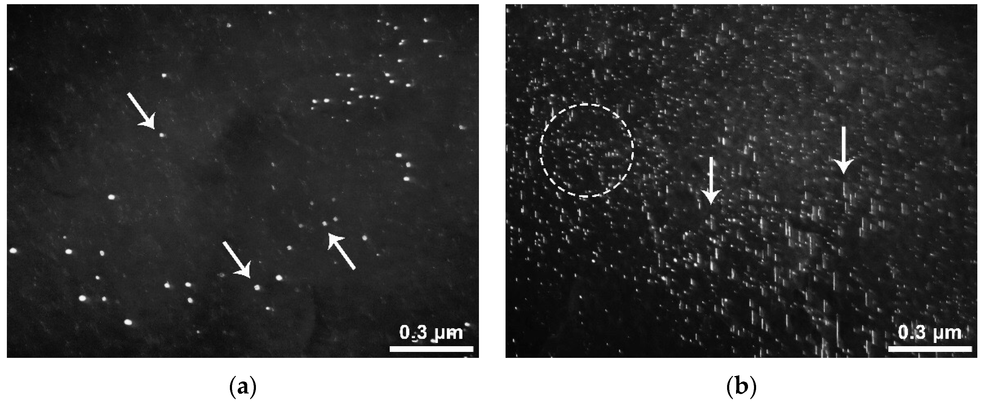 Metals 11 00766 g012a