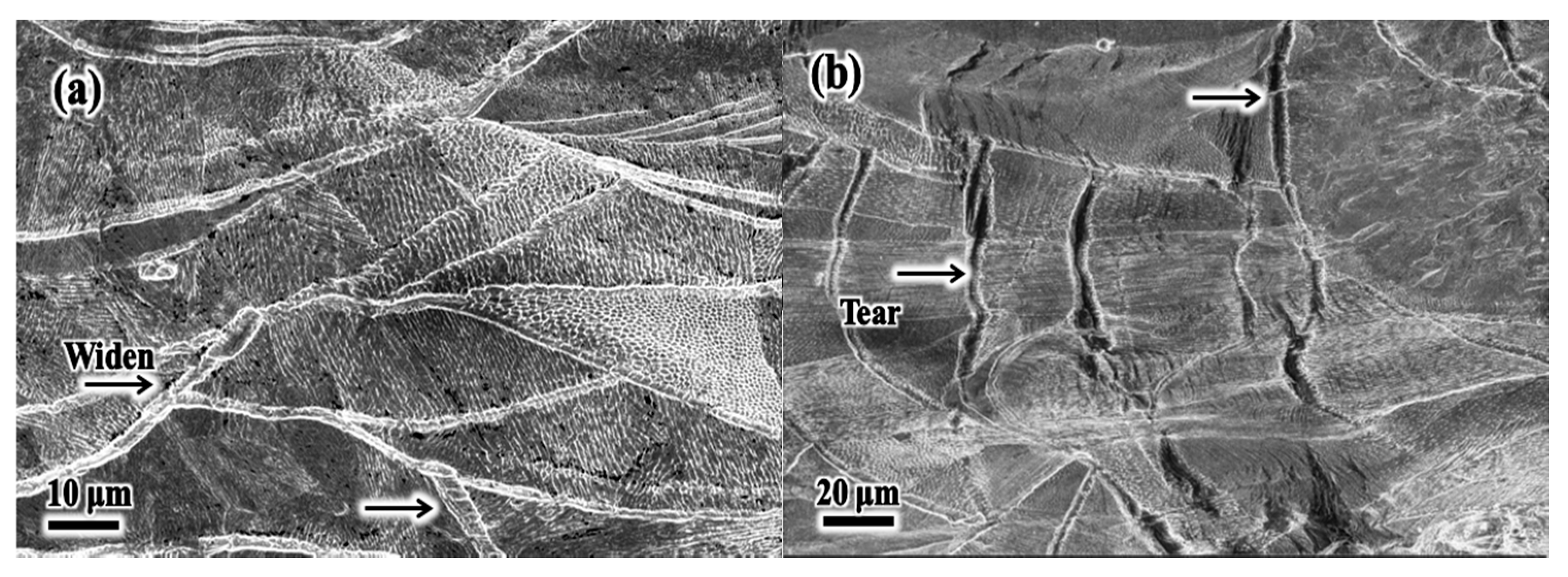 Metals 11 00775 g017 Metals 11 00775 g017