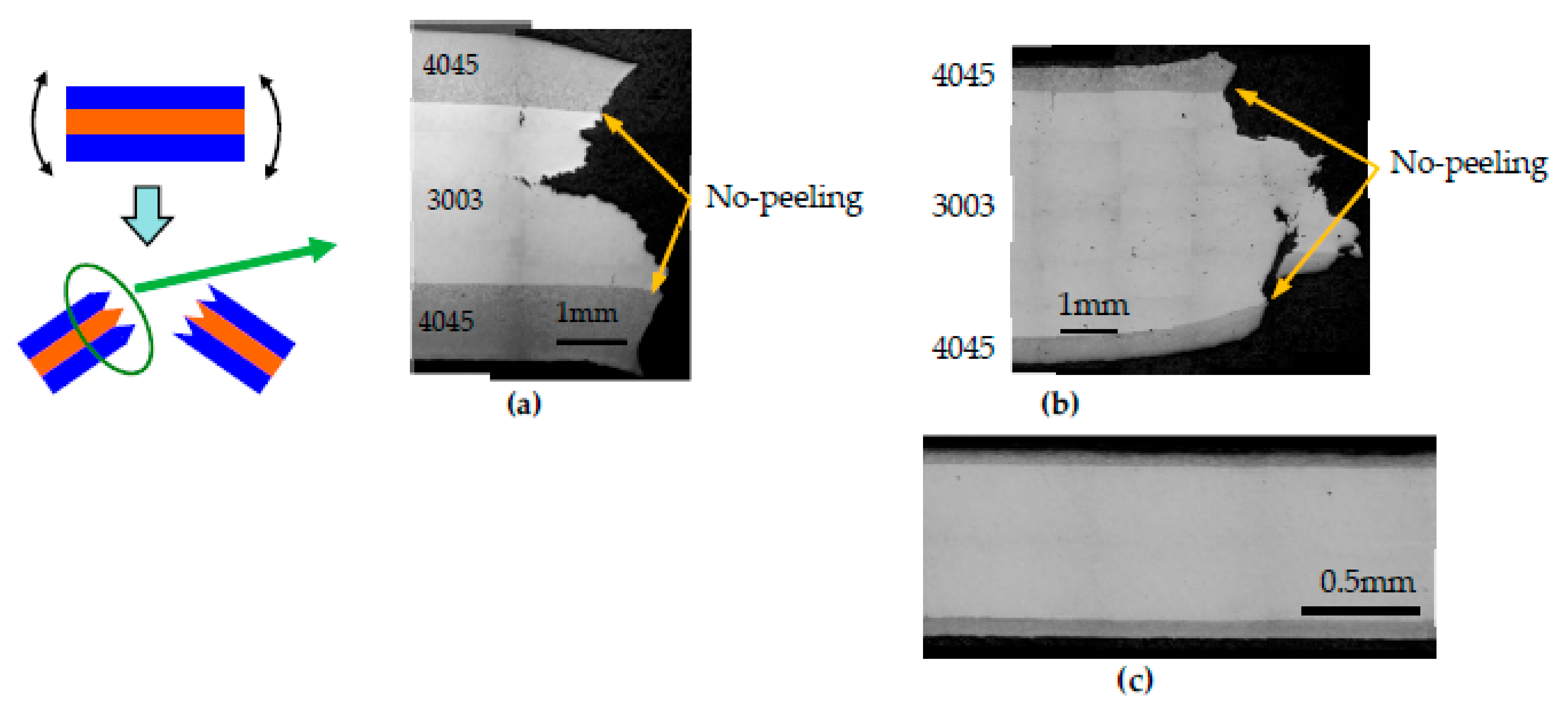 Metals 11 00776 g011