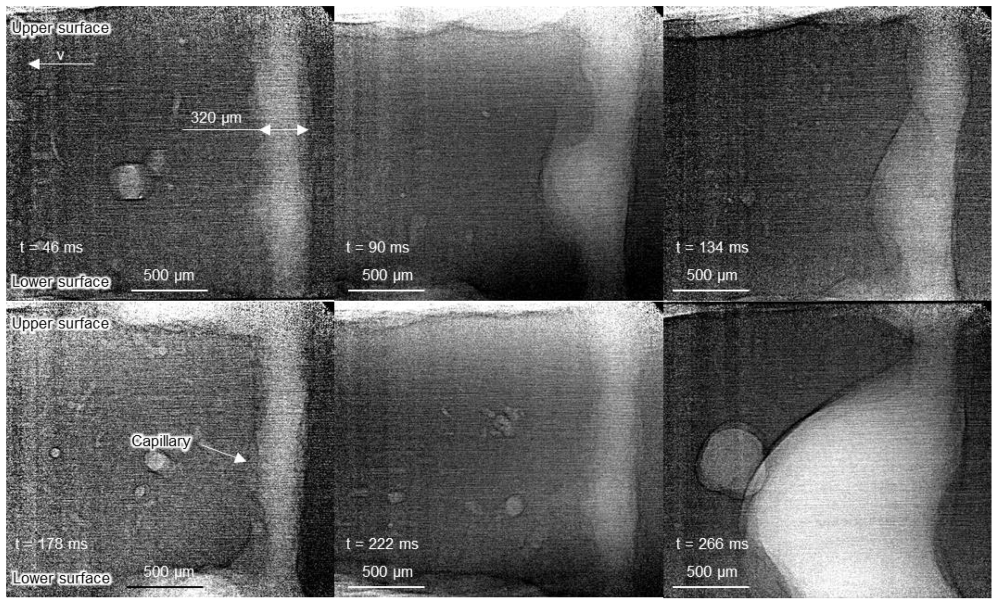 Metals 11 00797 g006