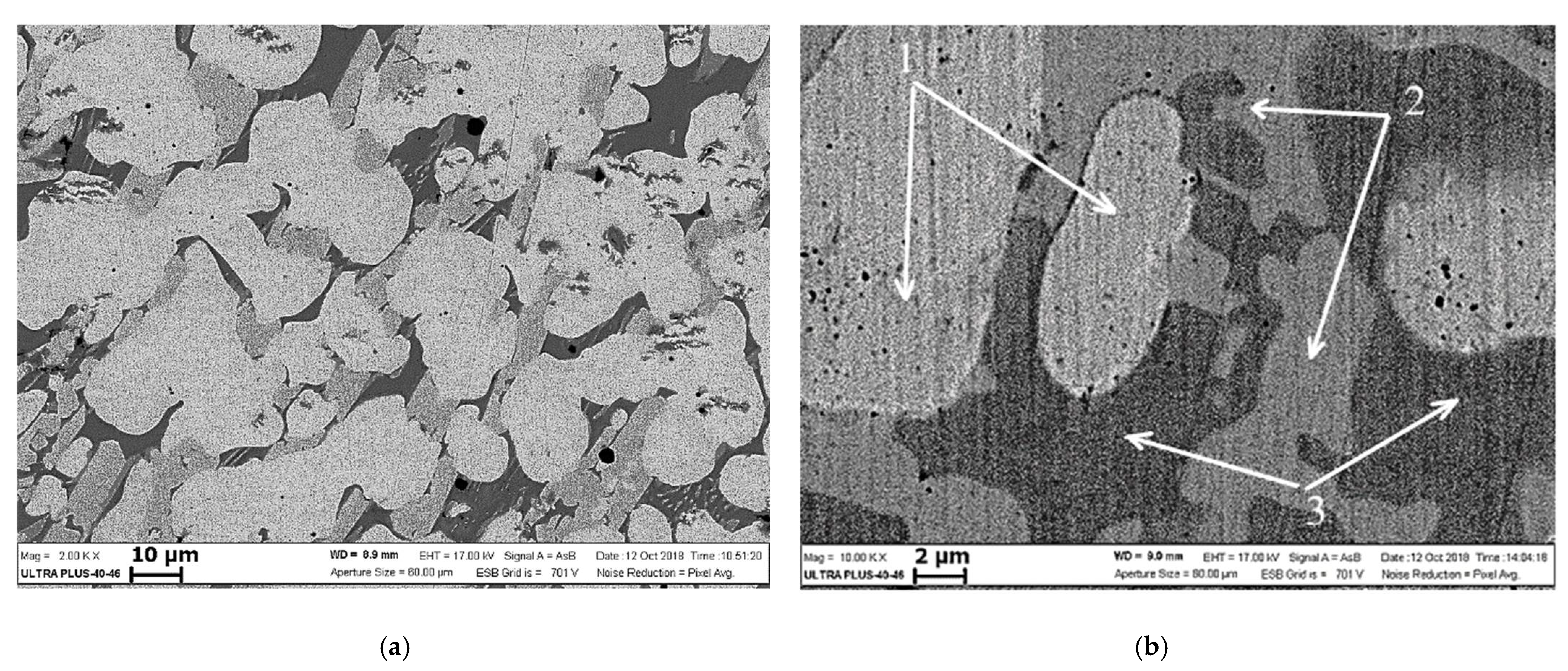Metals 11 00803 g007