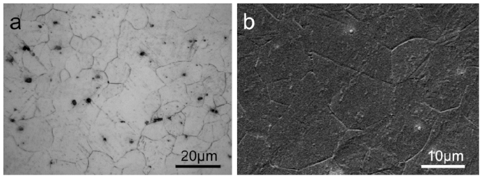 Metals 11 00813 g003