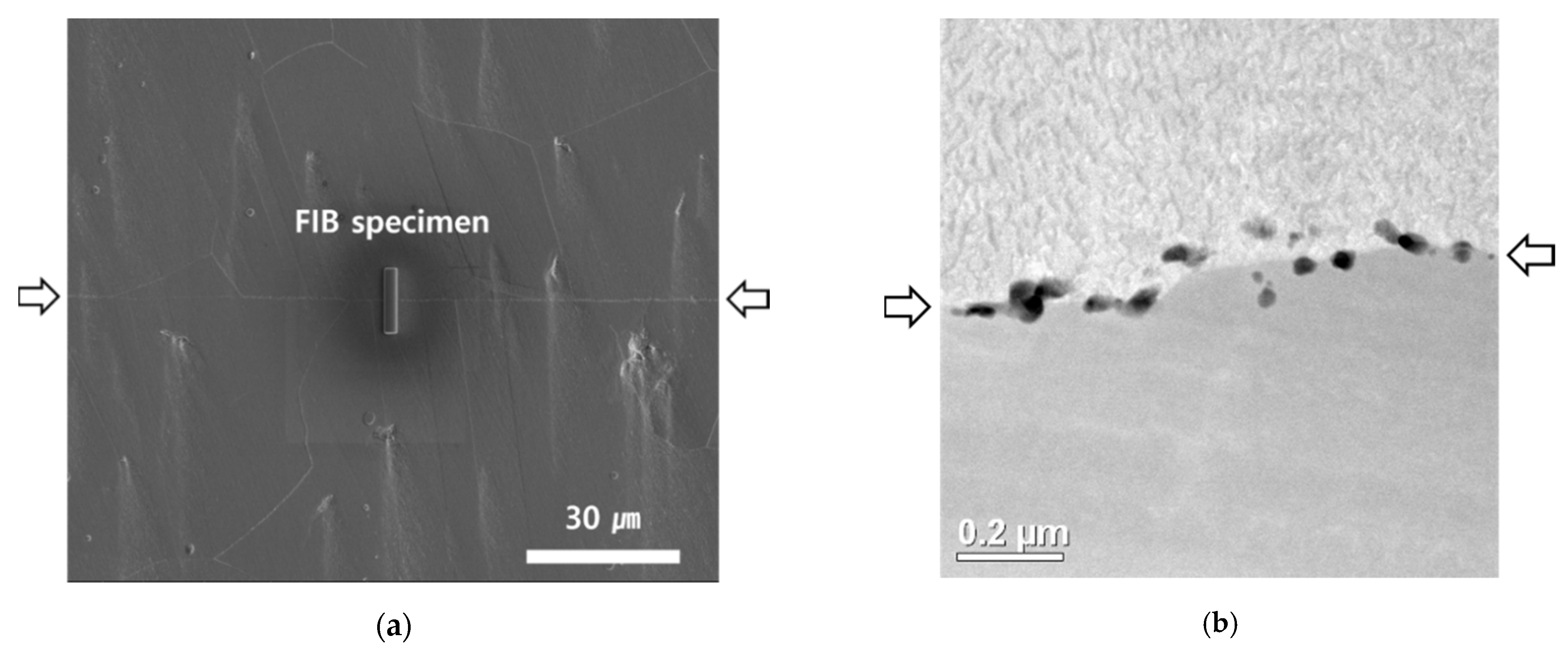 Metals 11 00830 g003 Metals 11 00830 g003