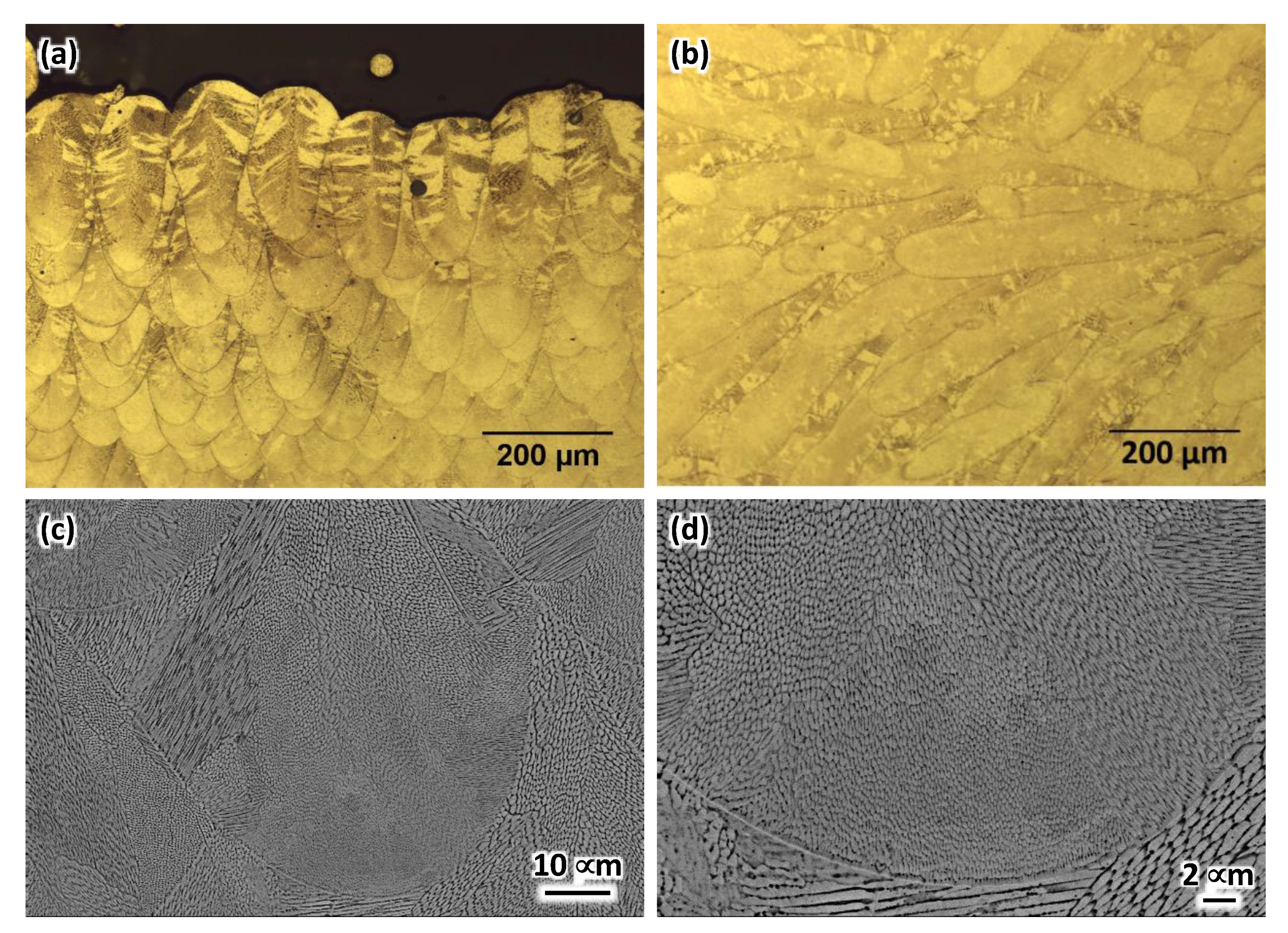 Metals 11 00832 g005