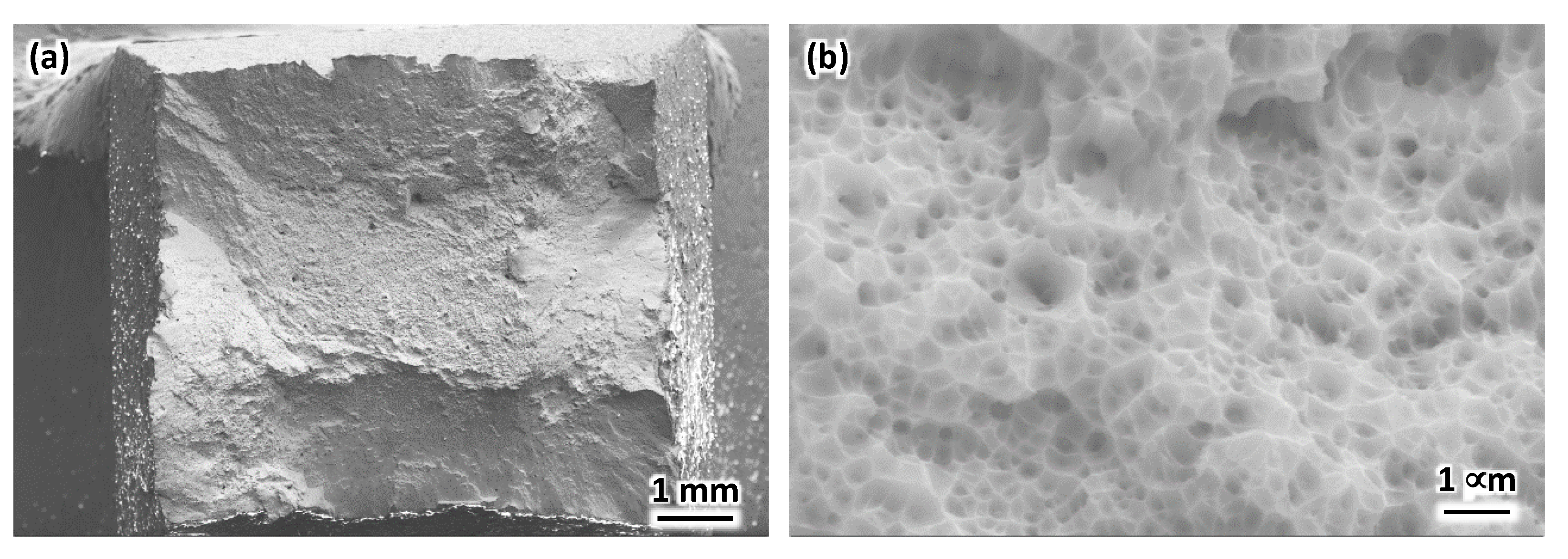 Metals 11 00832 g012