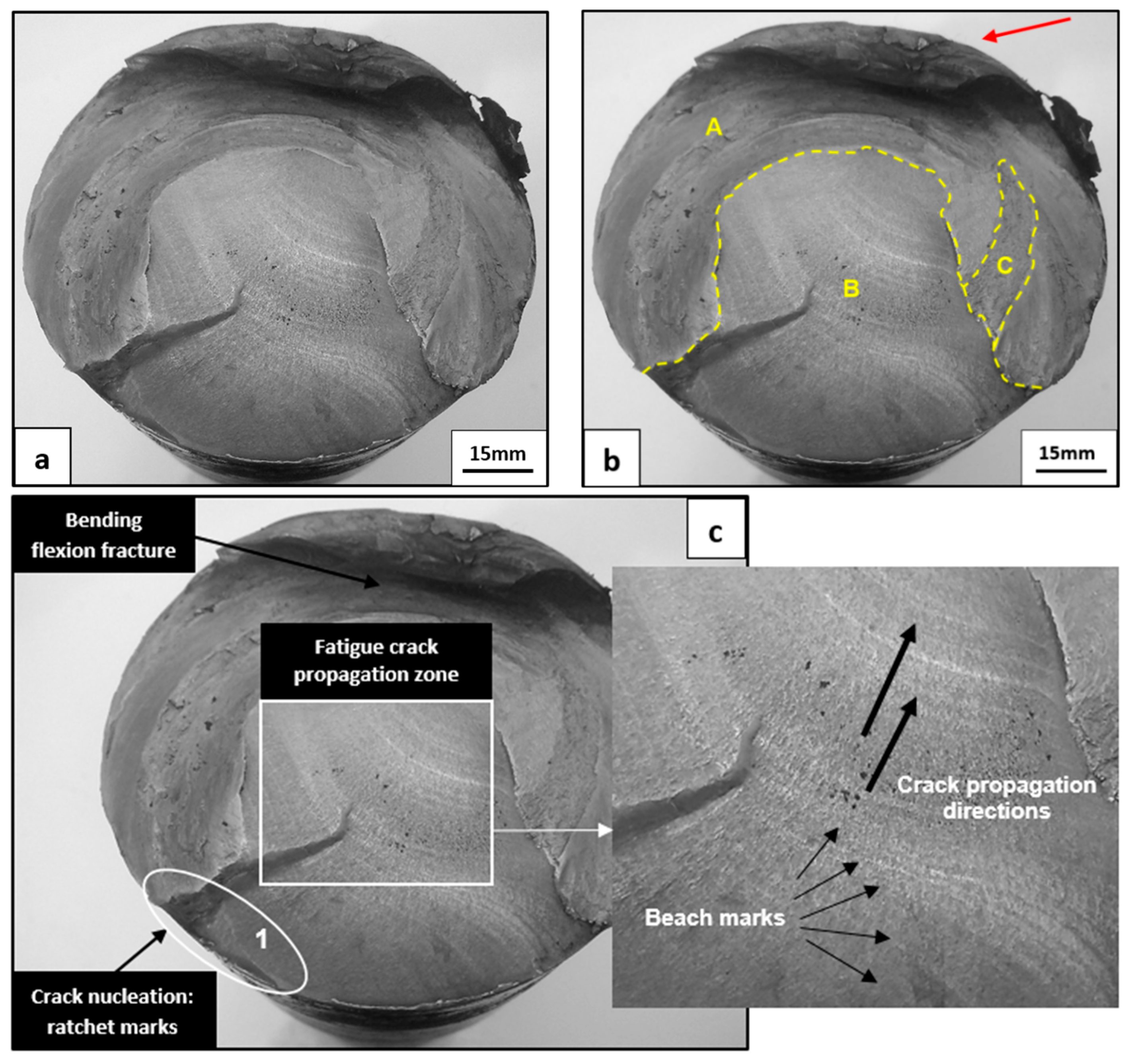 Metals 11 00856 g004