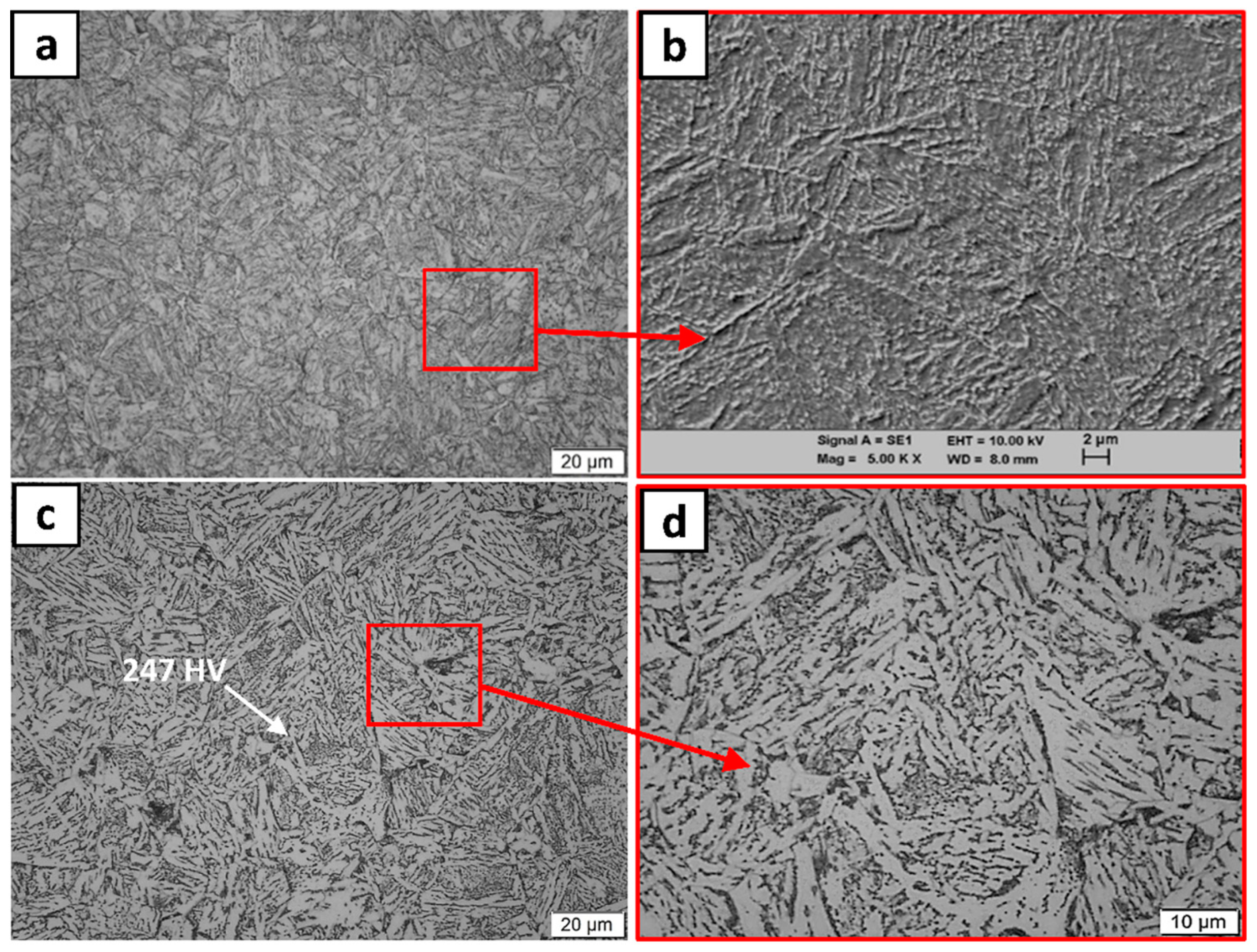 Metals 11 00856 g011