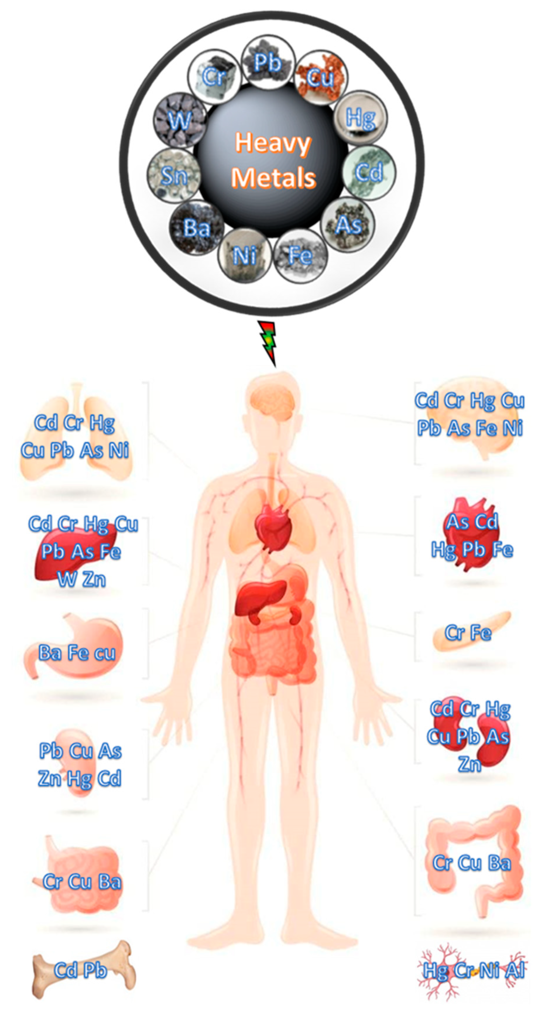 Metals 11 00864 g001
