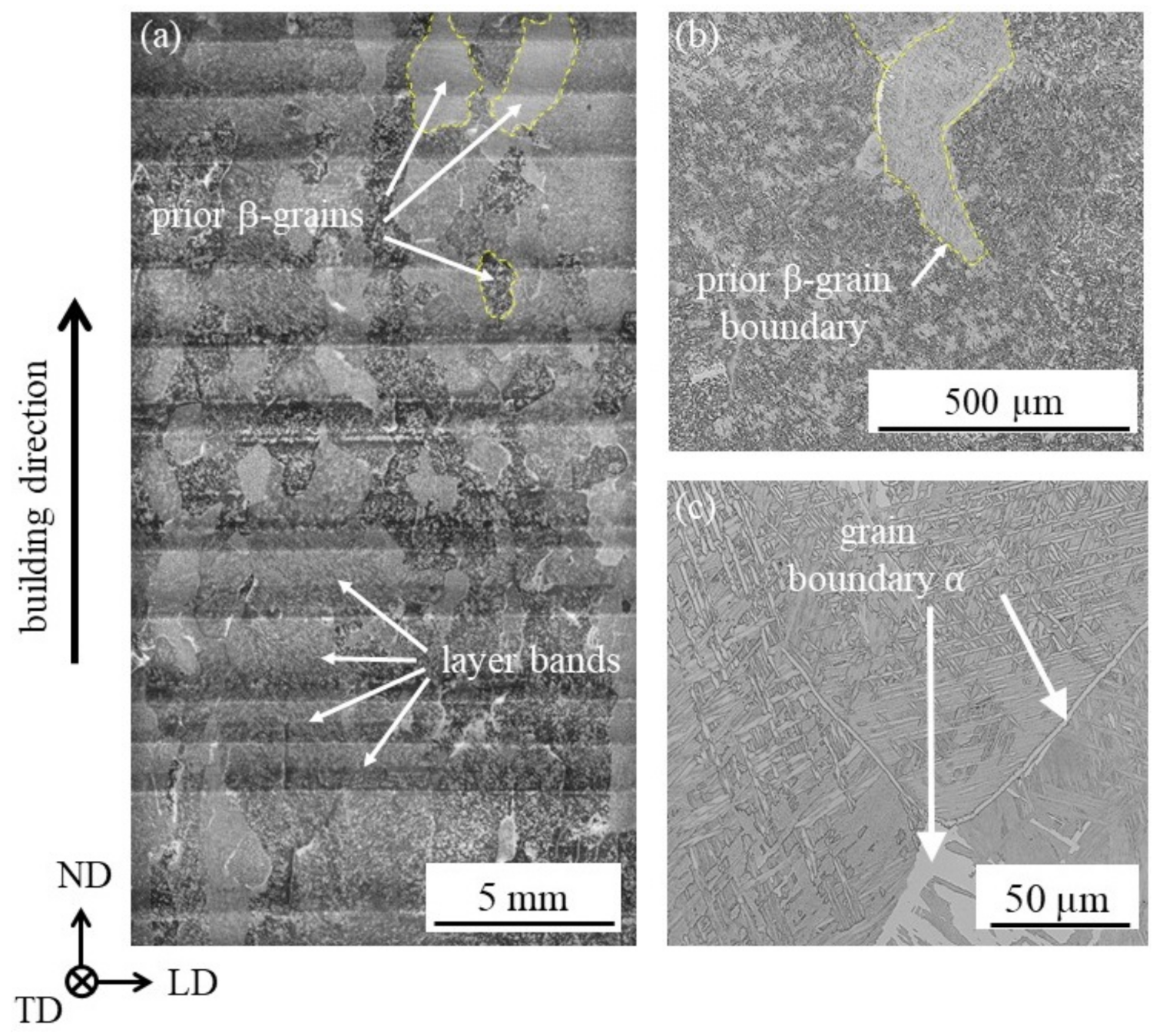 Metals 11 00877 g003