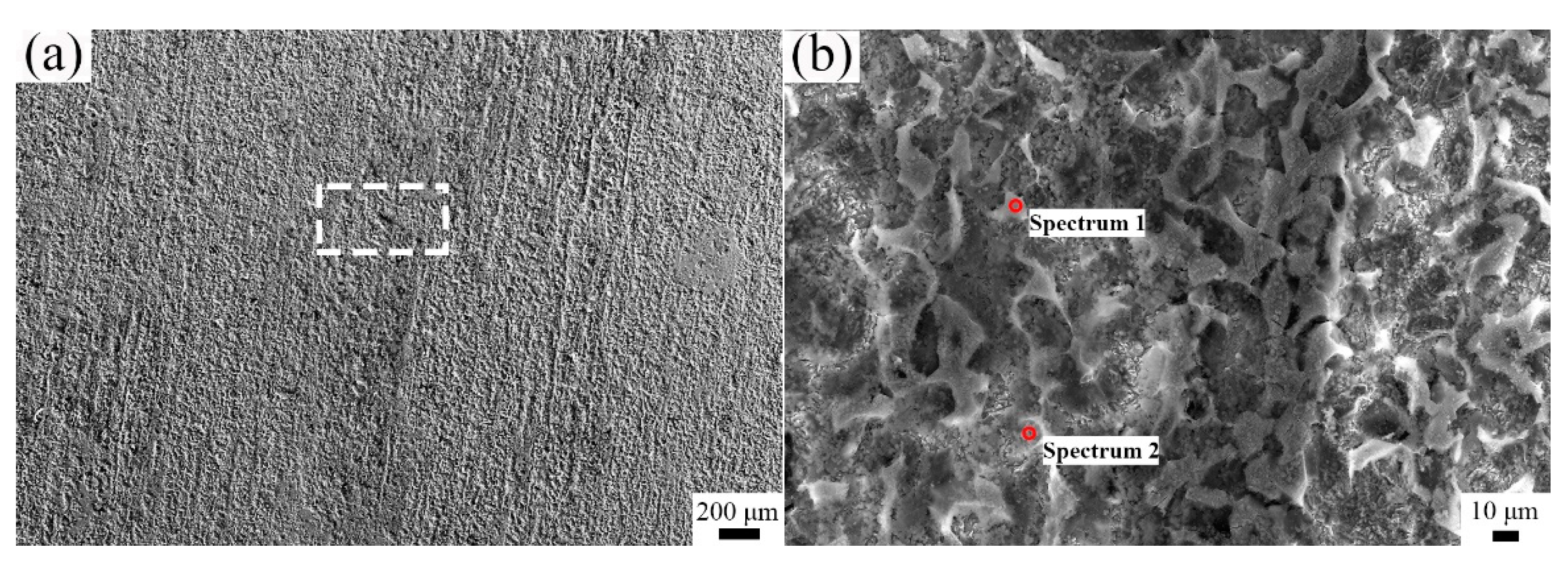 Metals 11 00880 g006