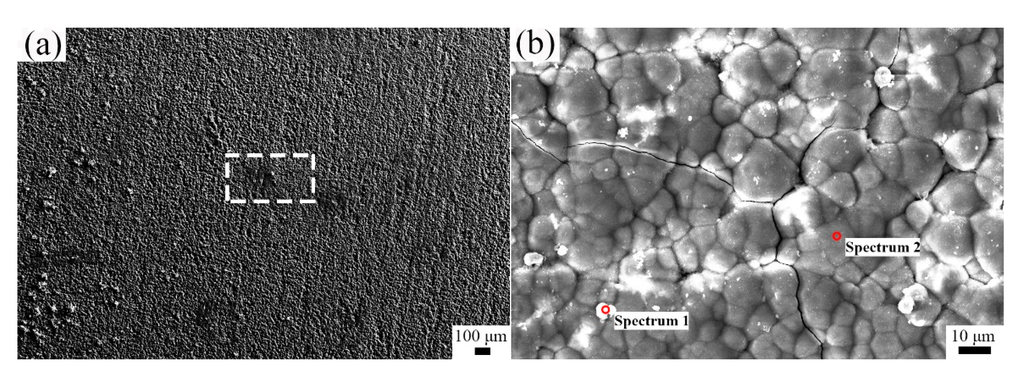 Metals 11 00880 g010