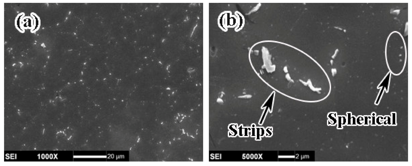 Metals 11 00883 g007