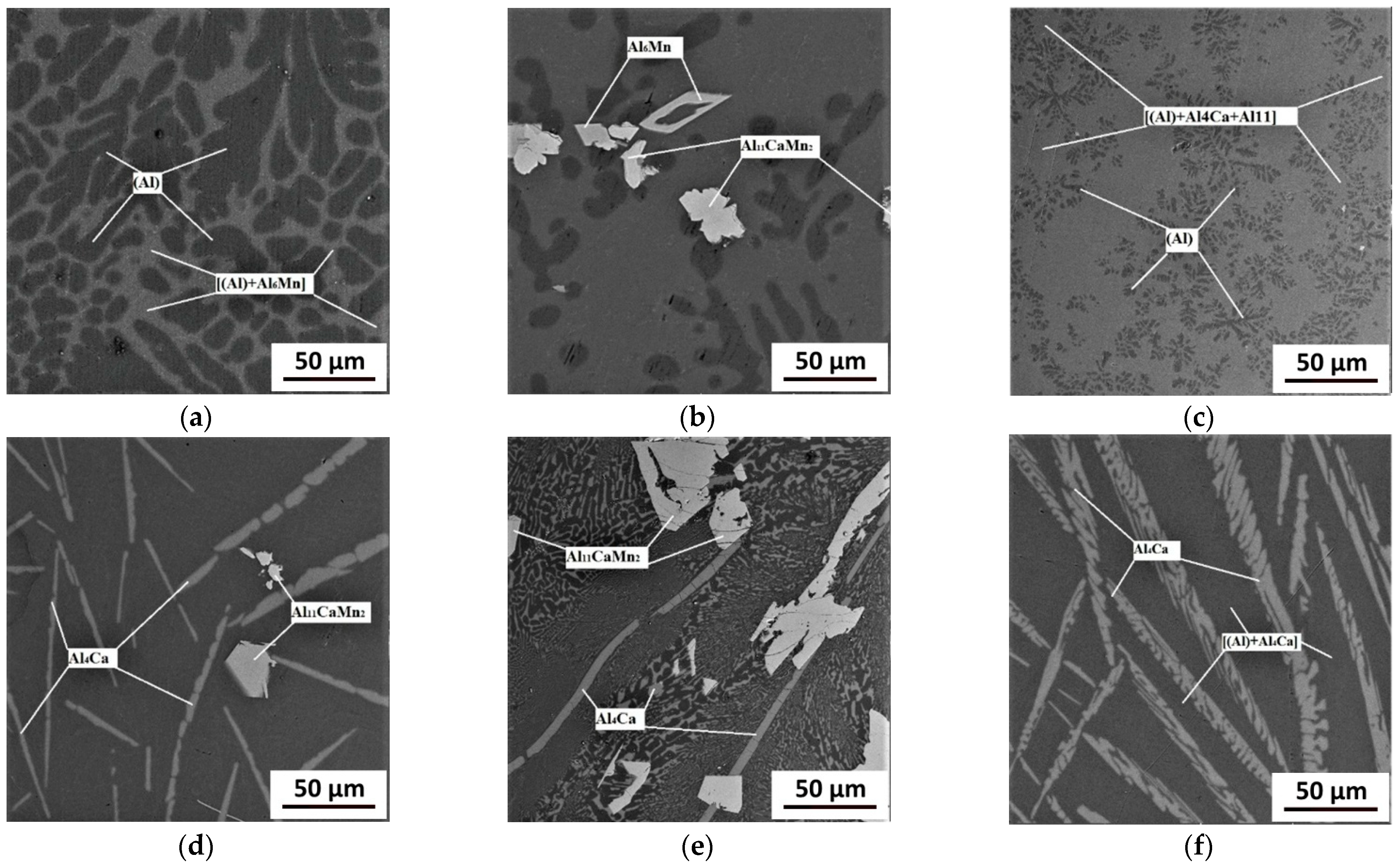 Metals 11 00890 g003