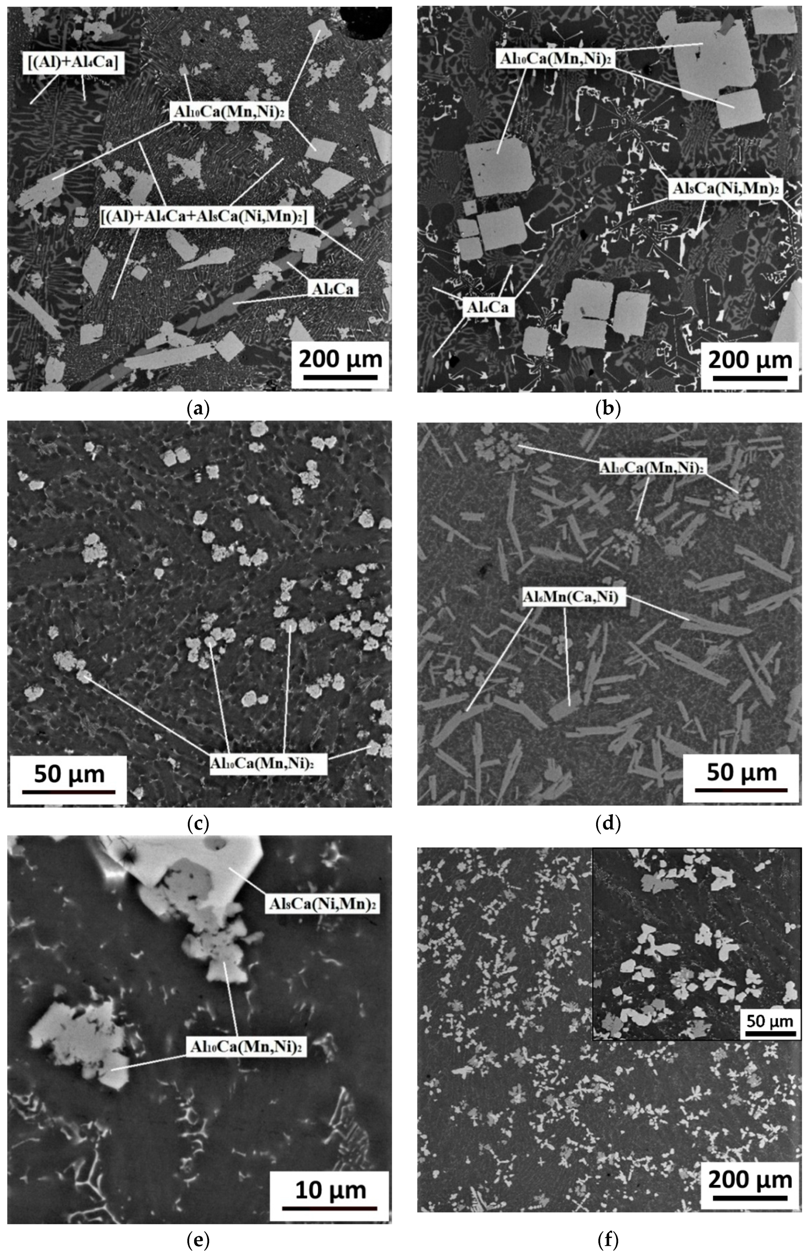 Metals 11 00890 g007