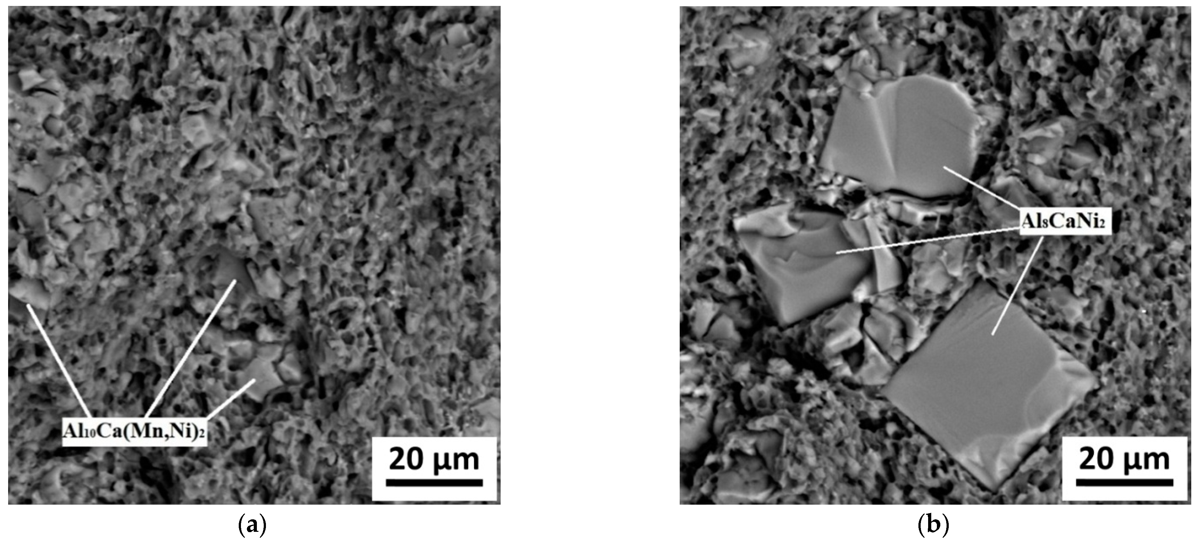 Metals 11 00890 g012