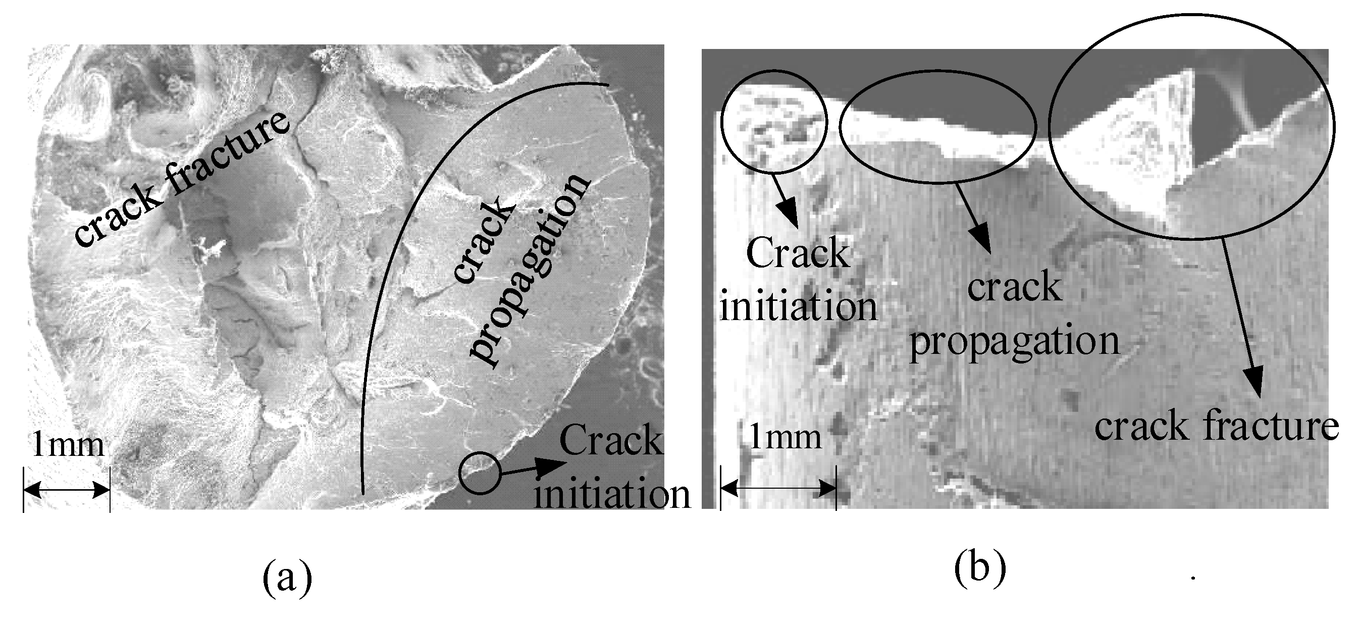 Metals 11 00910 g006