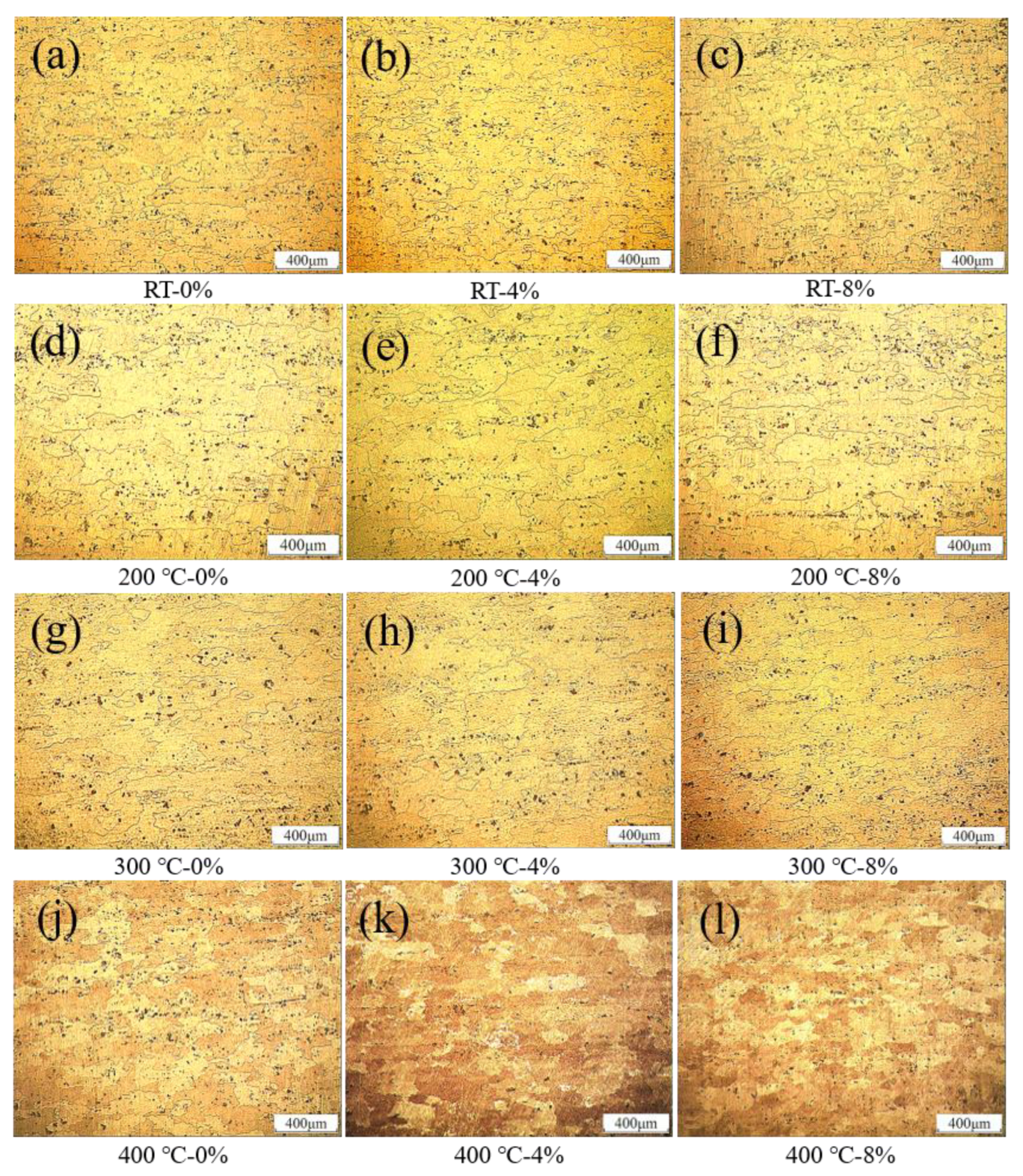 Metals 11 00924 g002