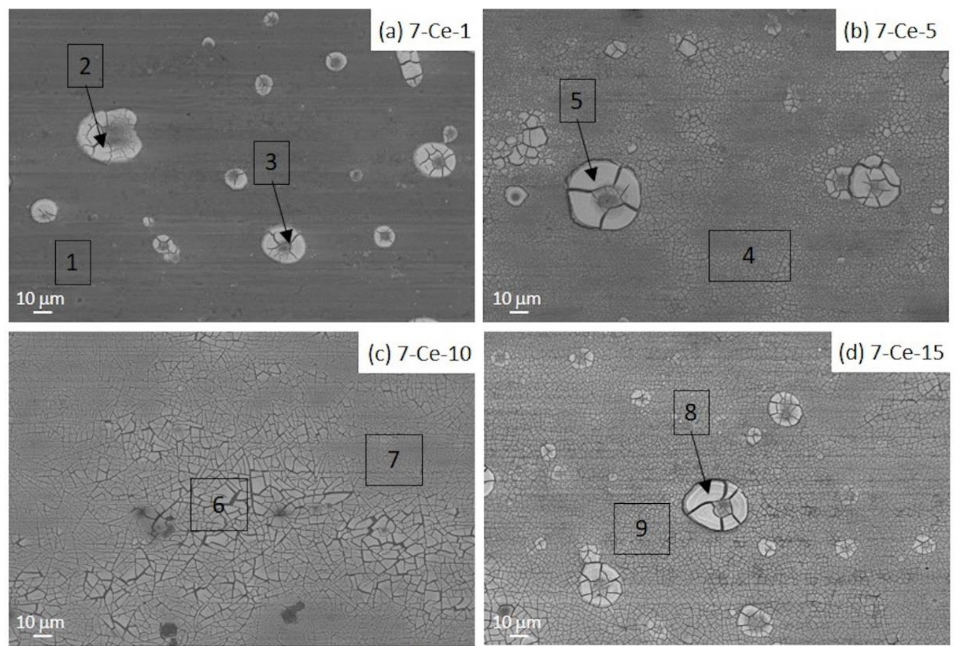 Metals 11 00930 g002