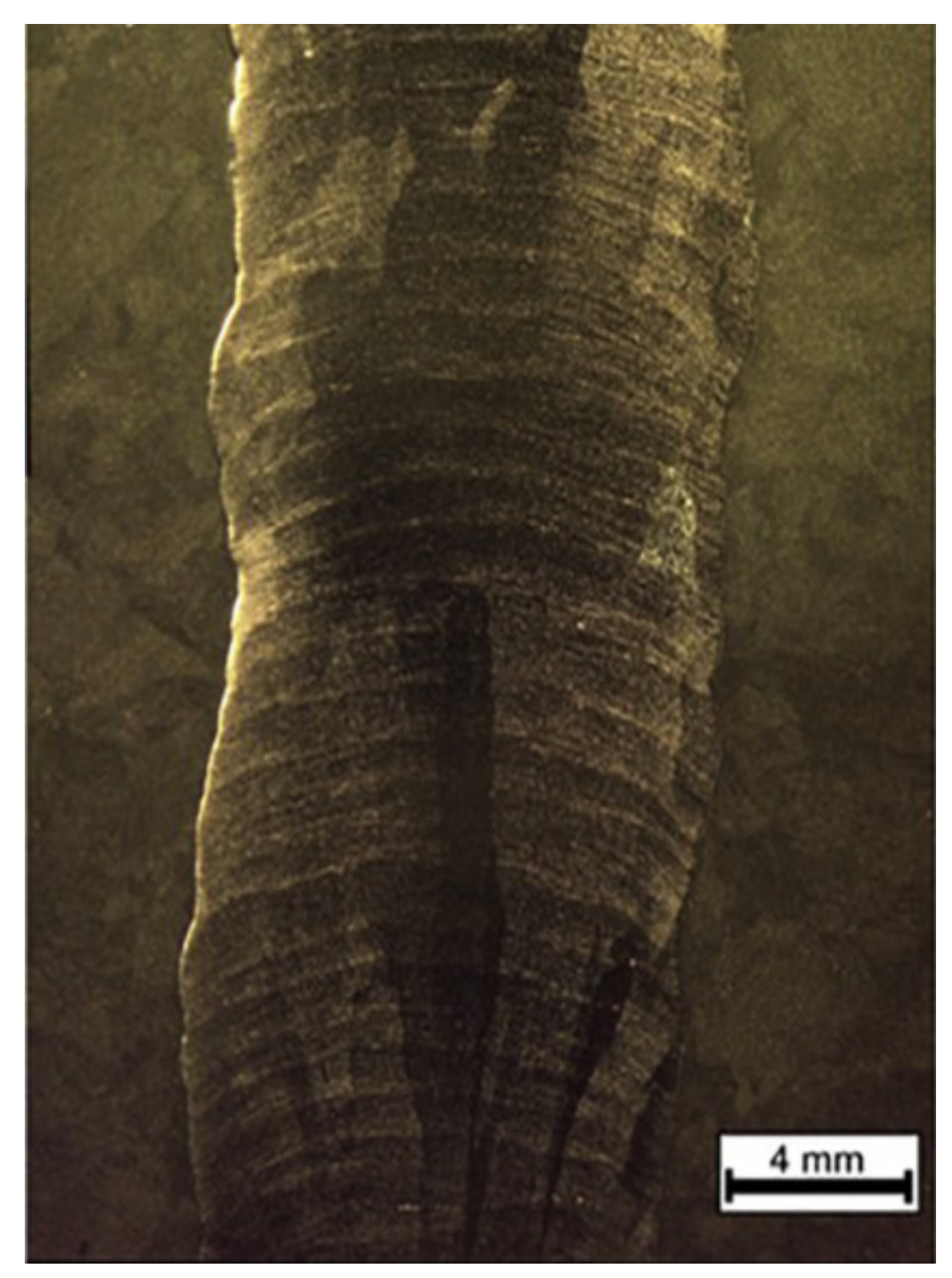 Metals 11 00939 g021