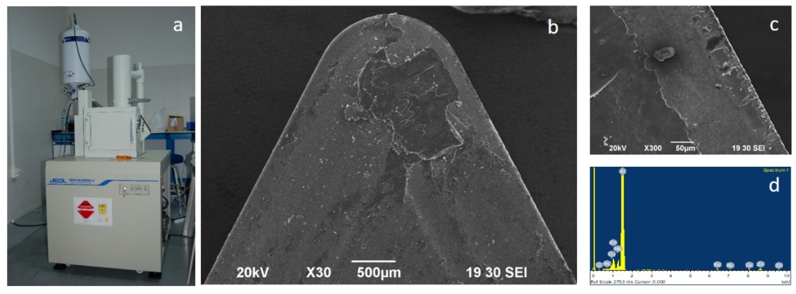 Metals 11 00958 g004