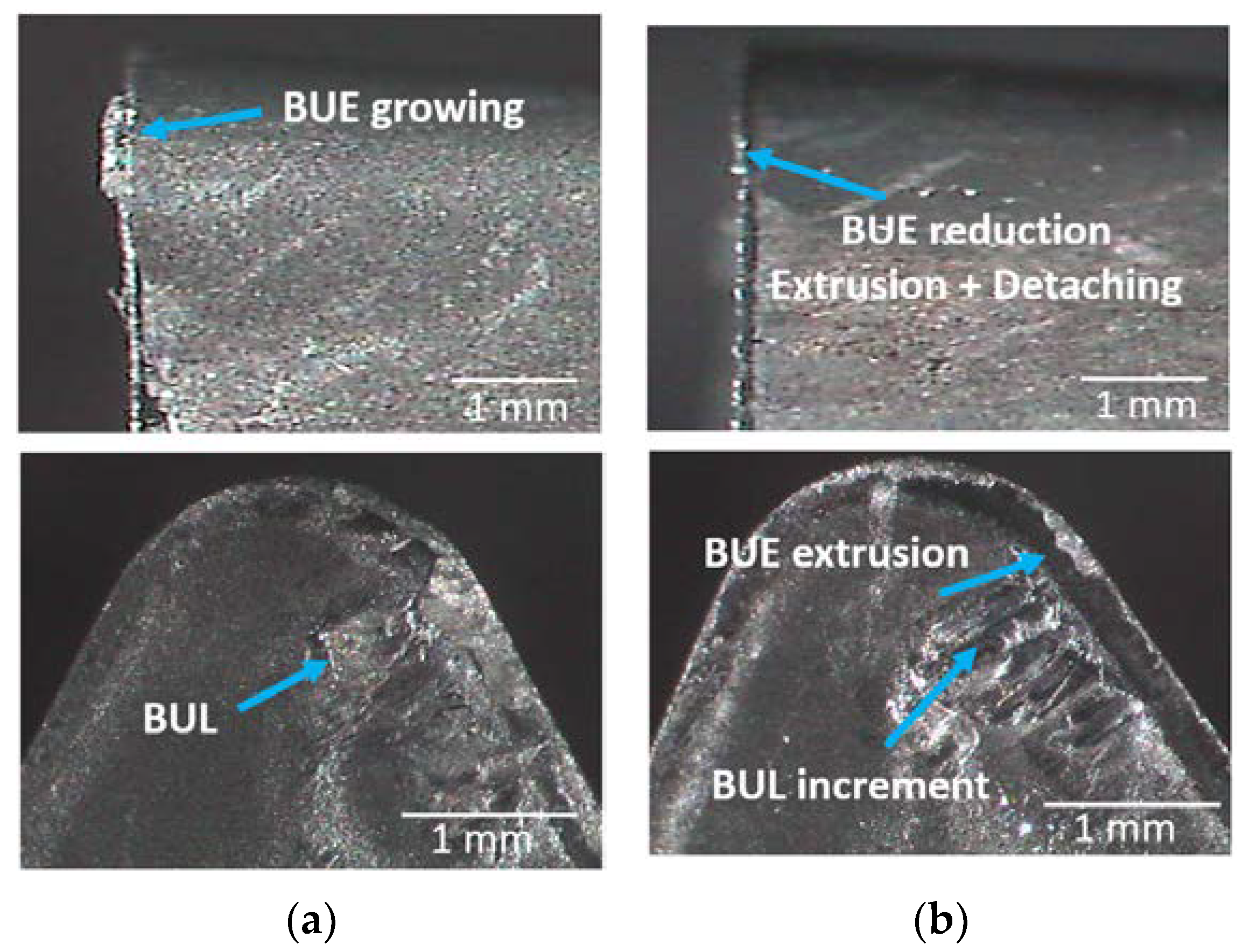 Metals 11 00958 g008