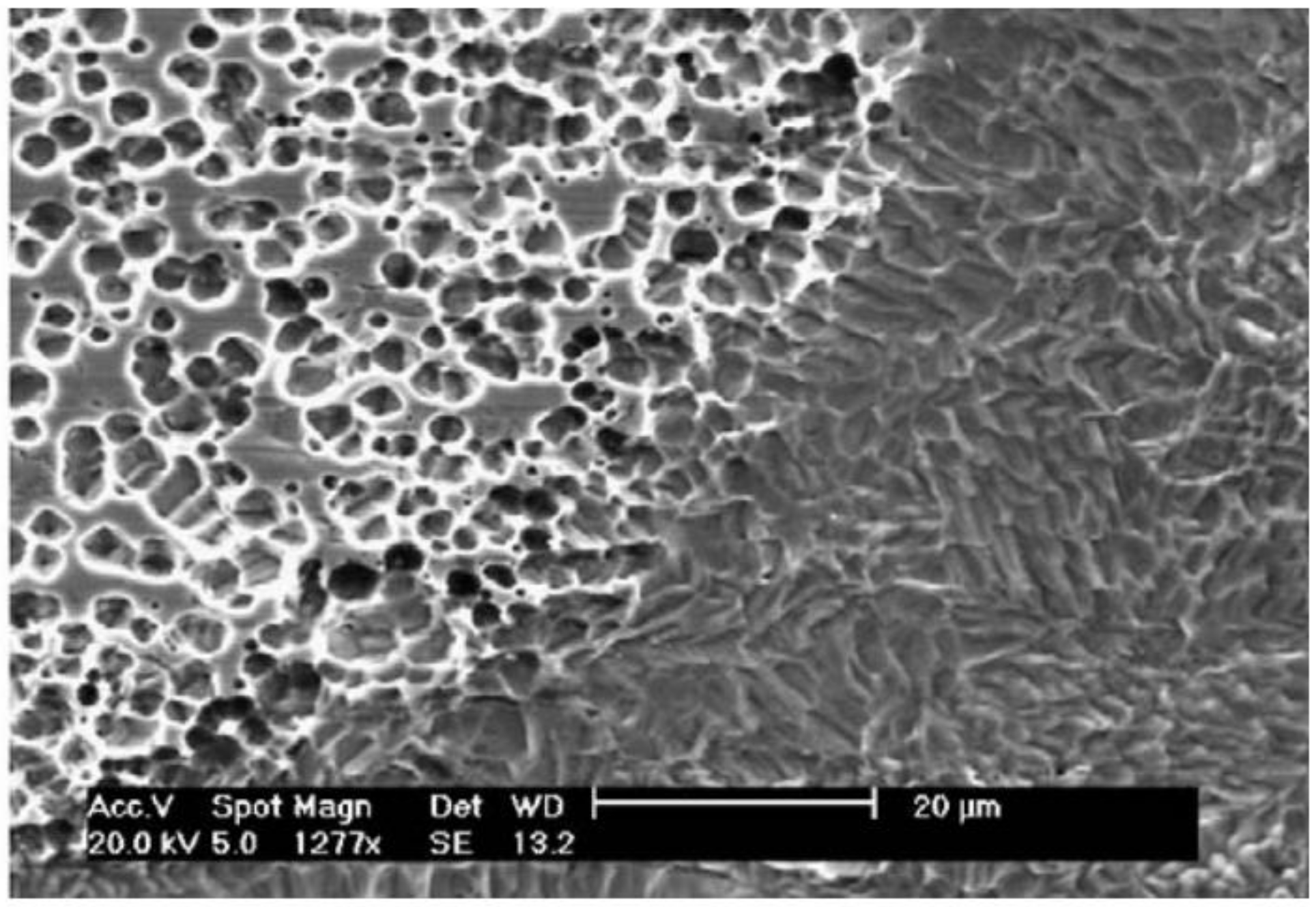 Metals 11 00959 g001
