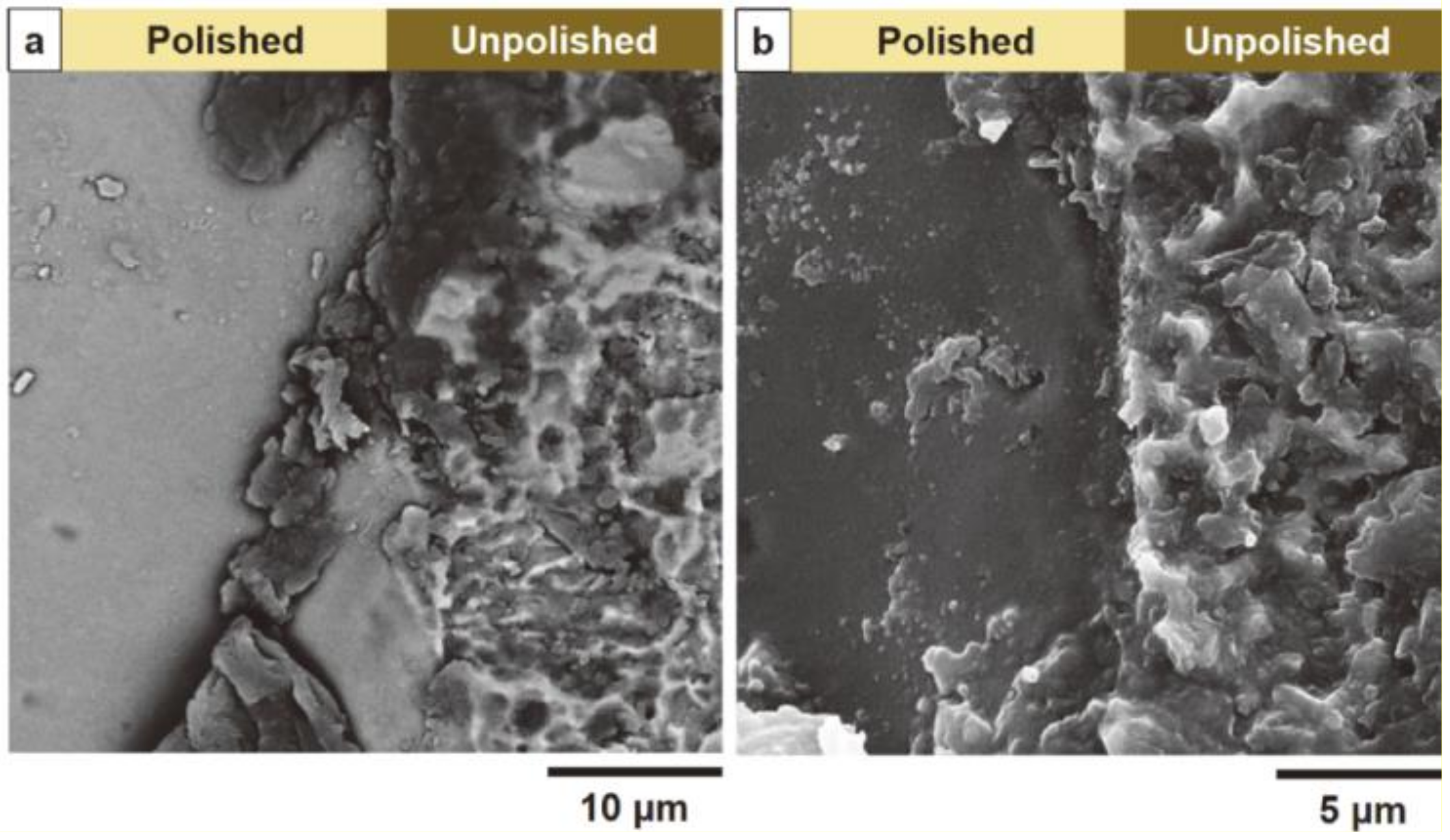 Metals 11 00959 g005