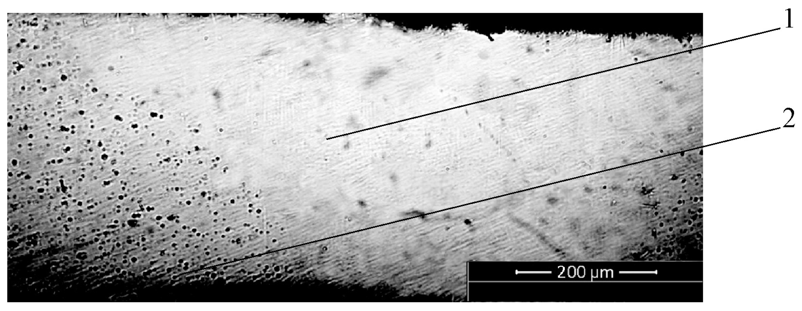 Metals 11 00963 g007