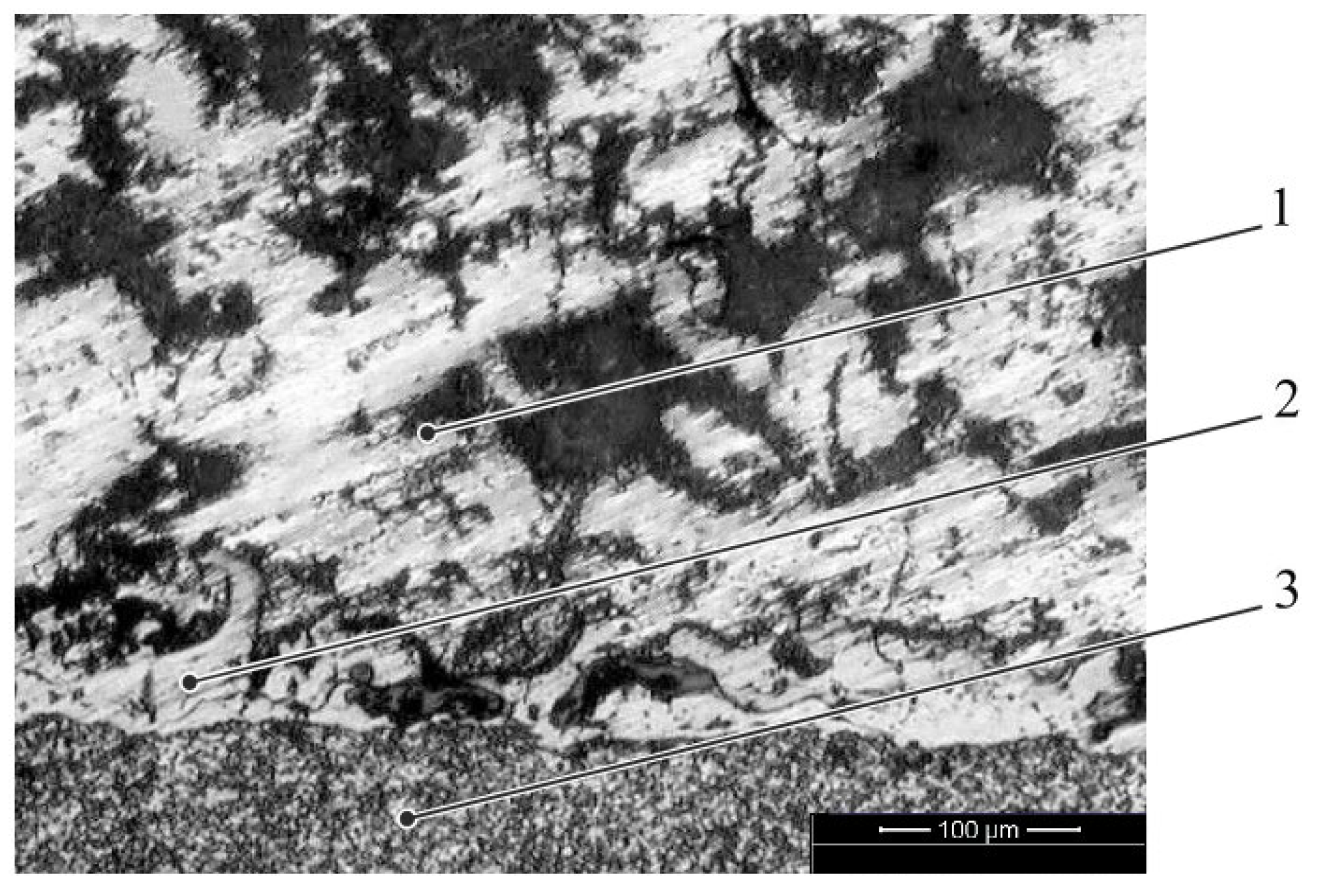 Metals 11 00963 g008