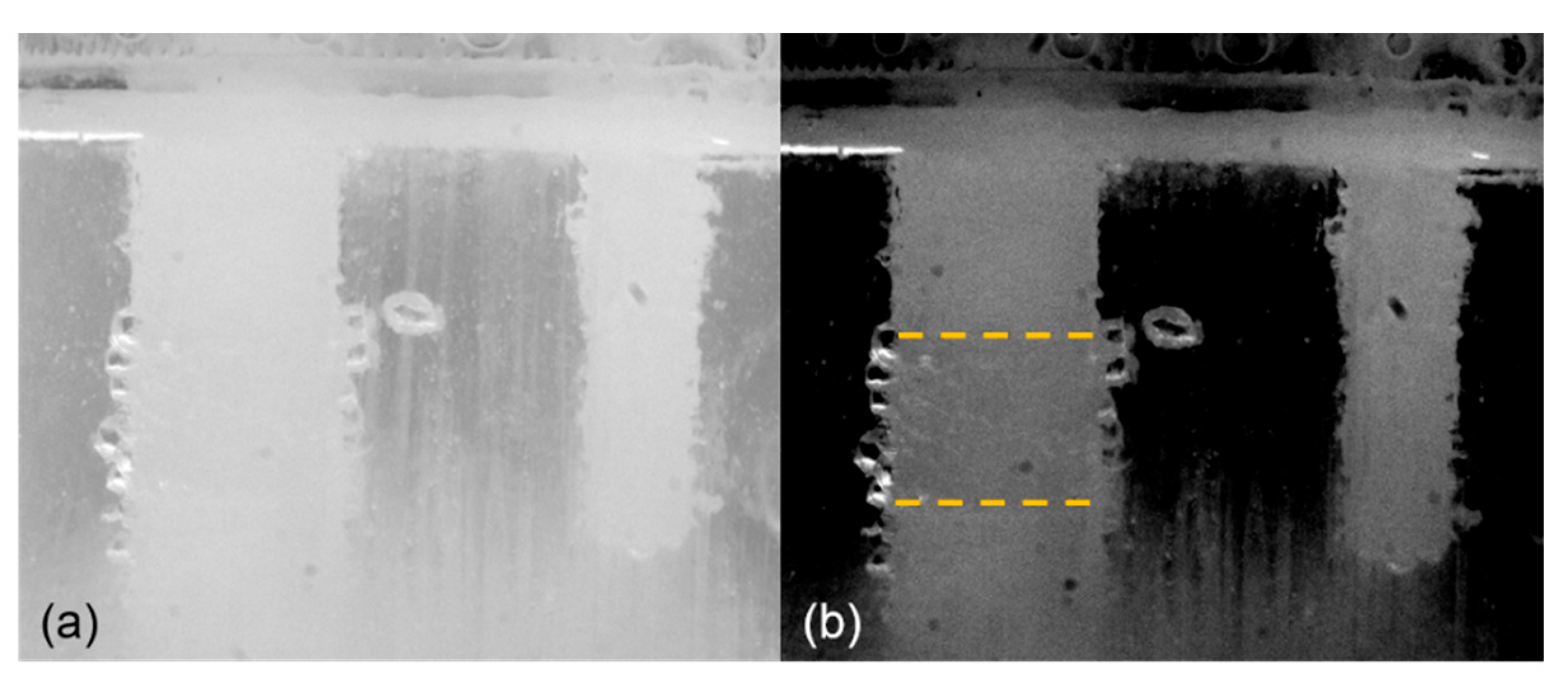 Metals 11 00965 g006