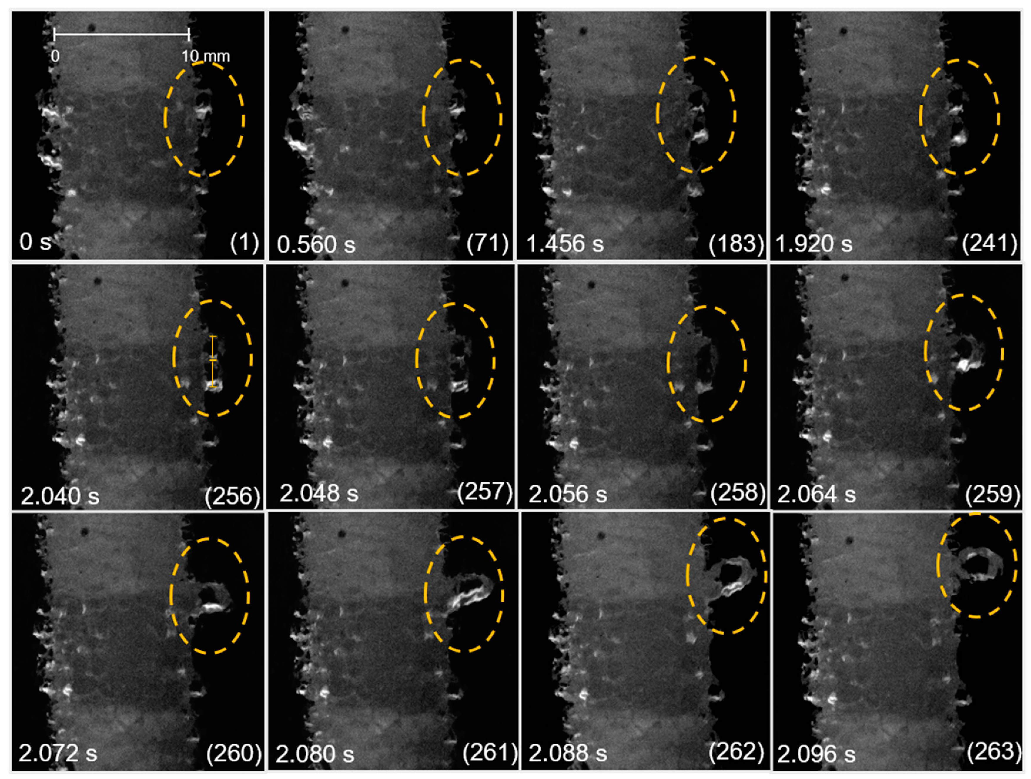 Metals 11 00965 g013