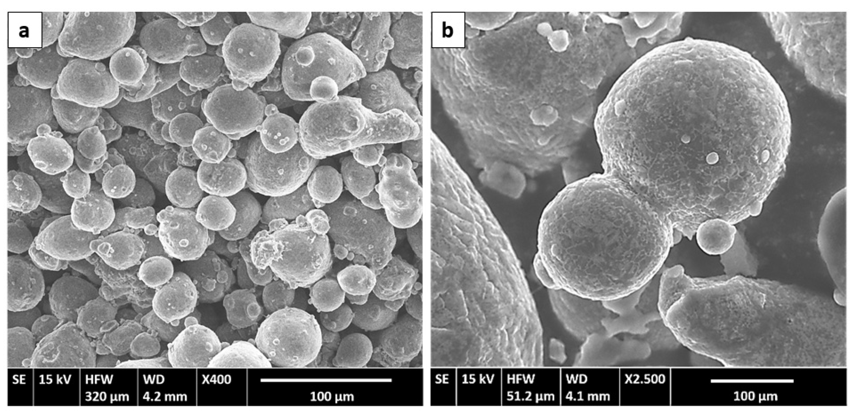 Metals 11 00969 g001