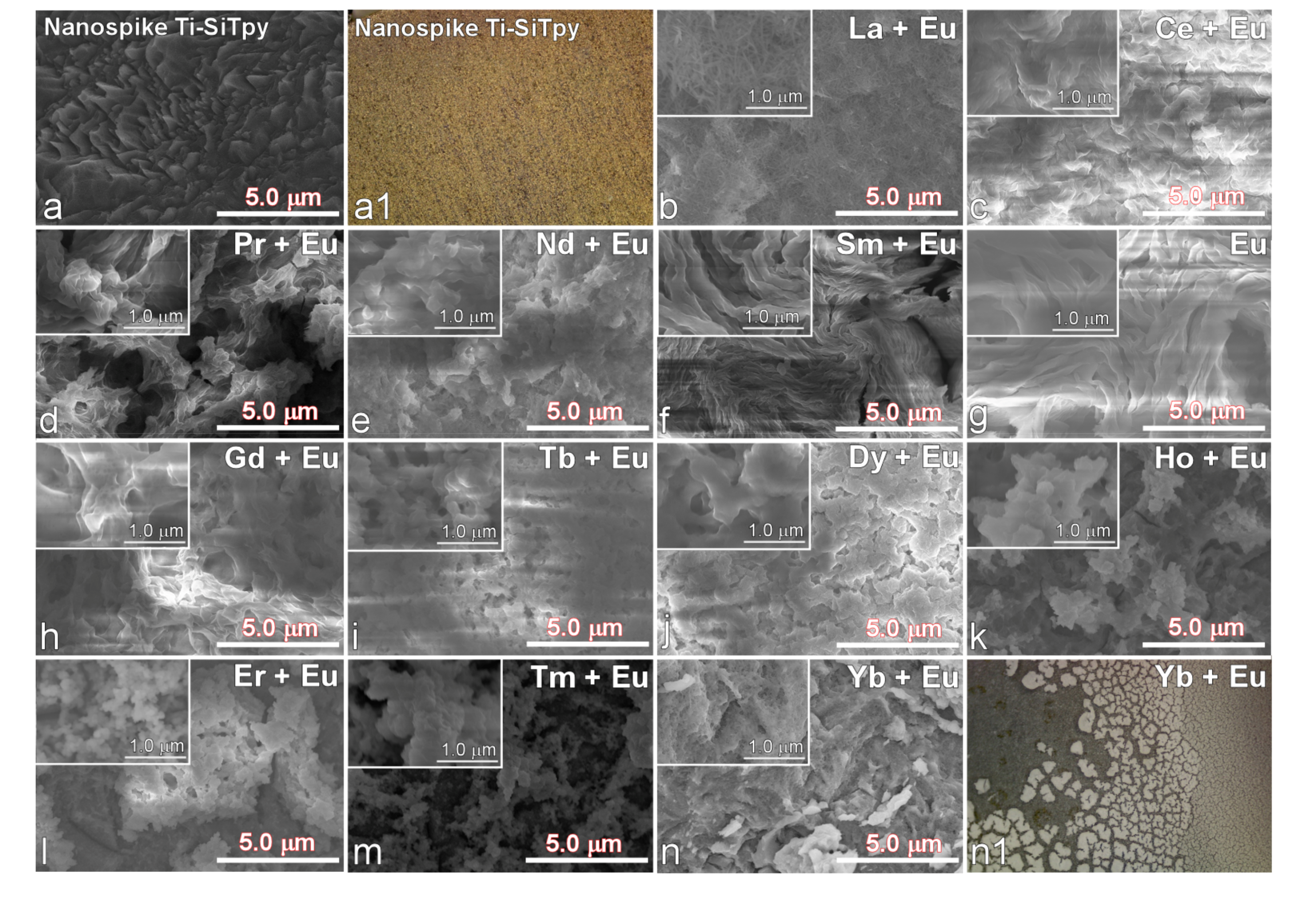 Metals 11 00977 g002