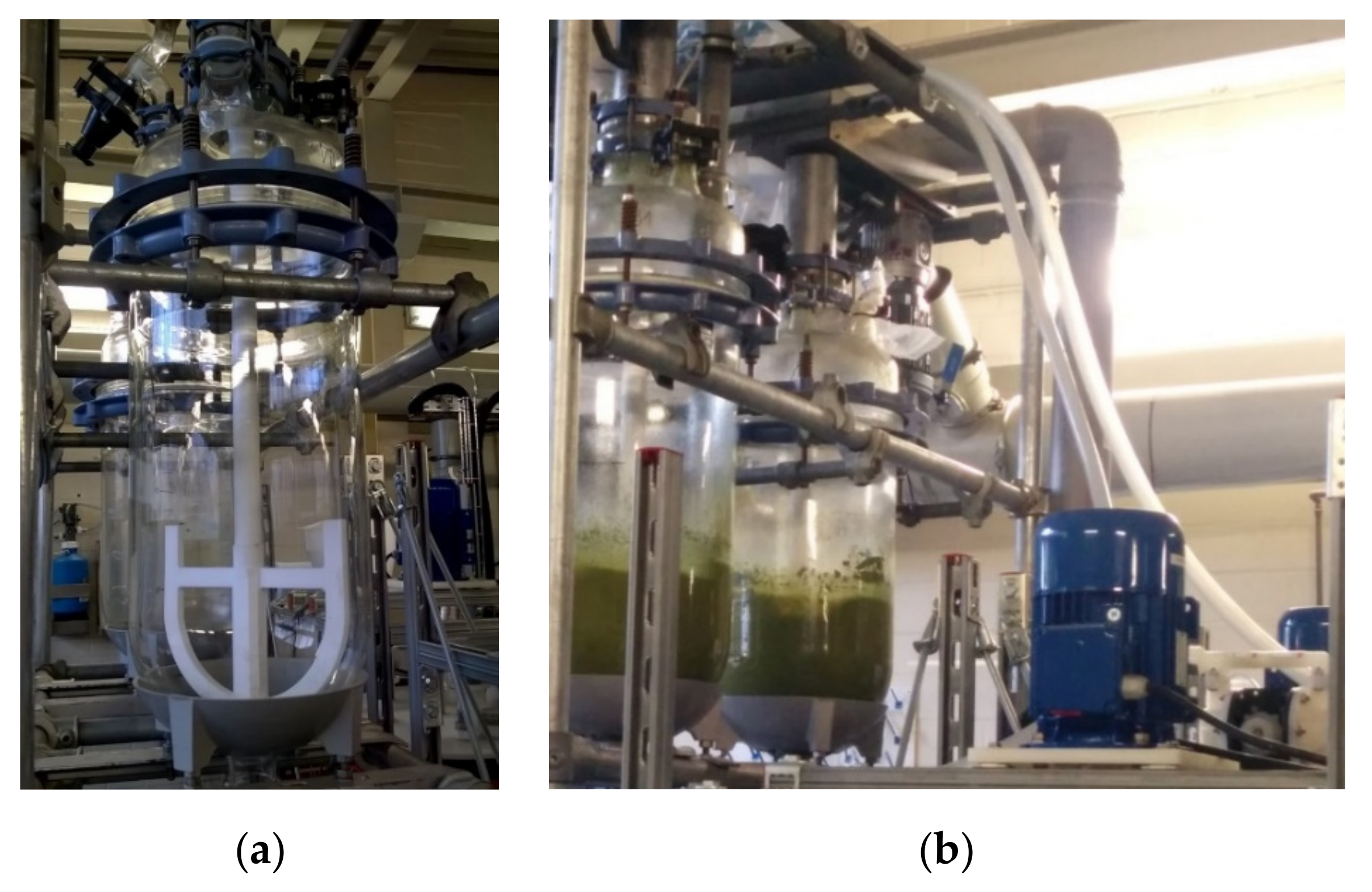 Metals 11 00978 g005