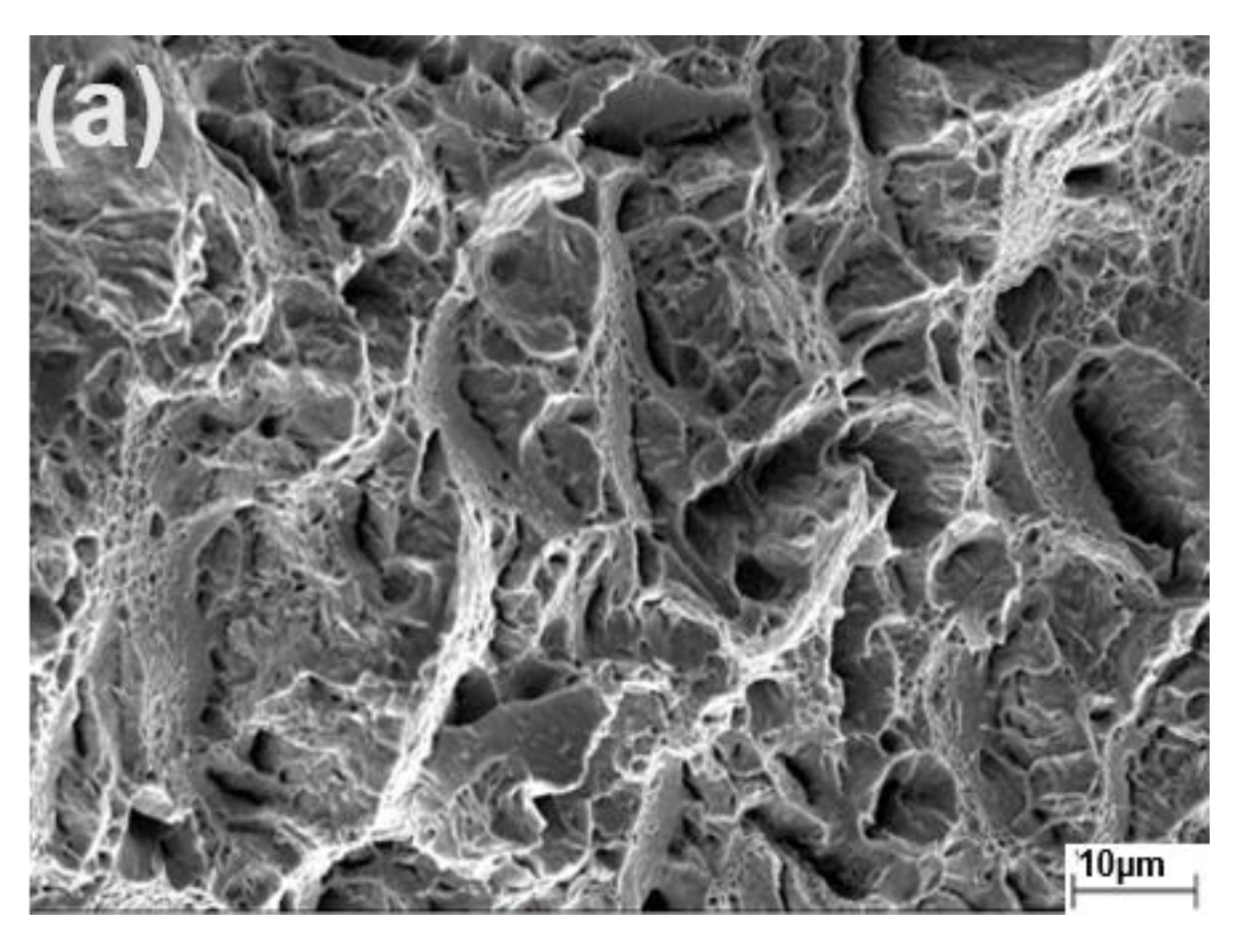 Metals 11 00984 g009a