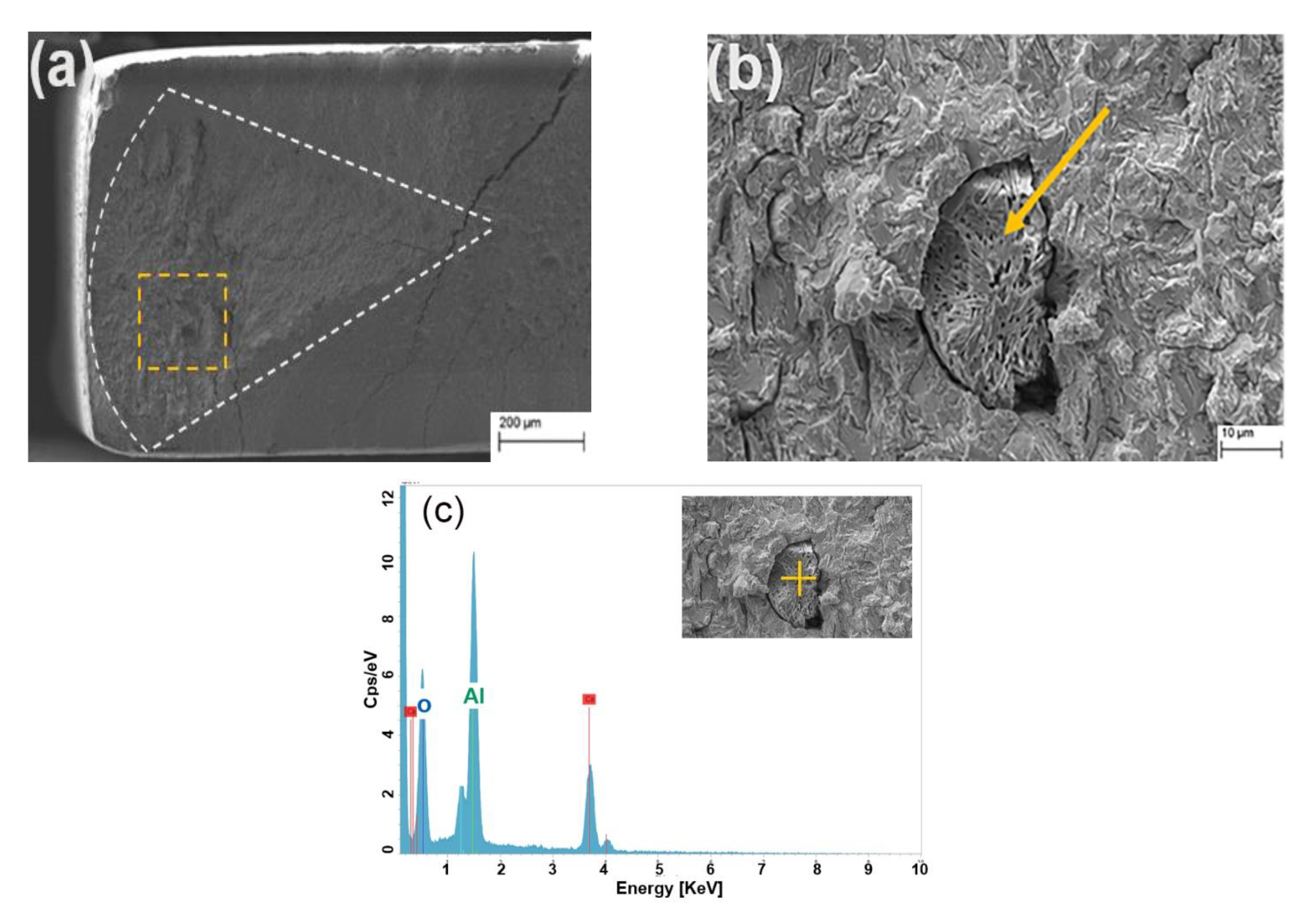 Metals 11 00984 g011