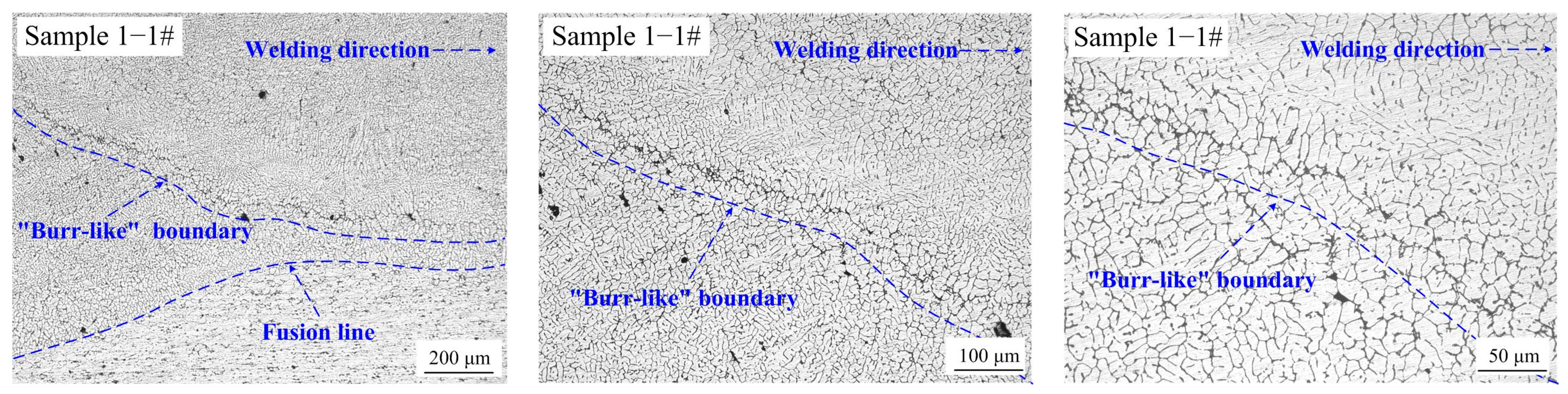 Metals 11 00995 g006
