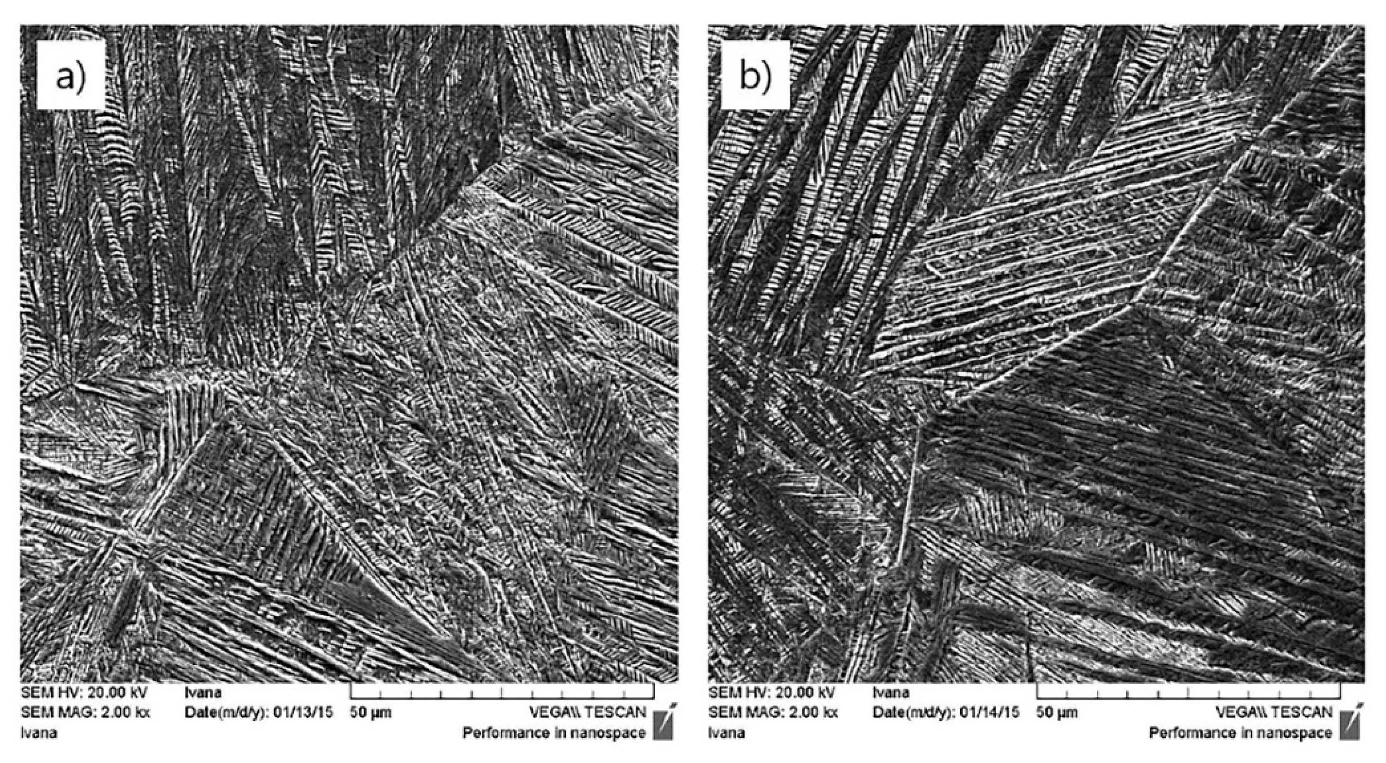 Metals 11 00997 g002