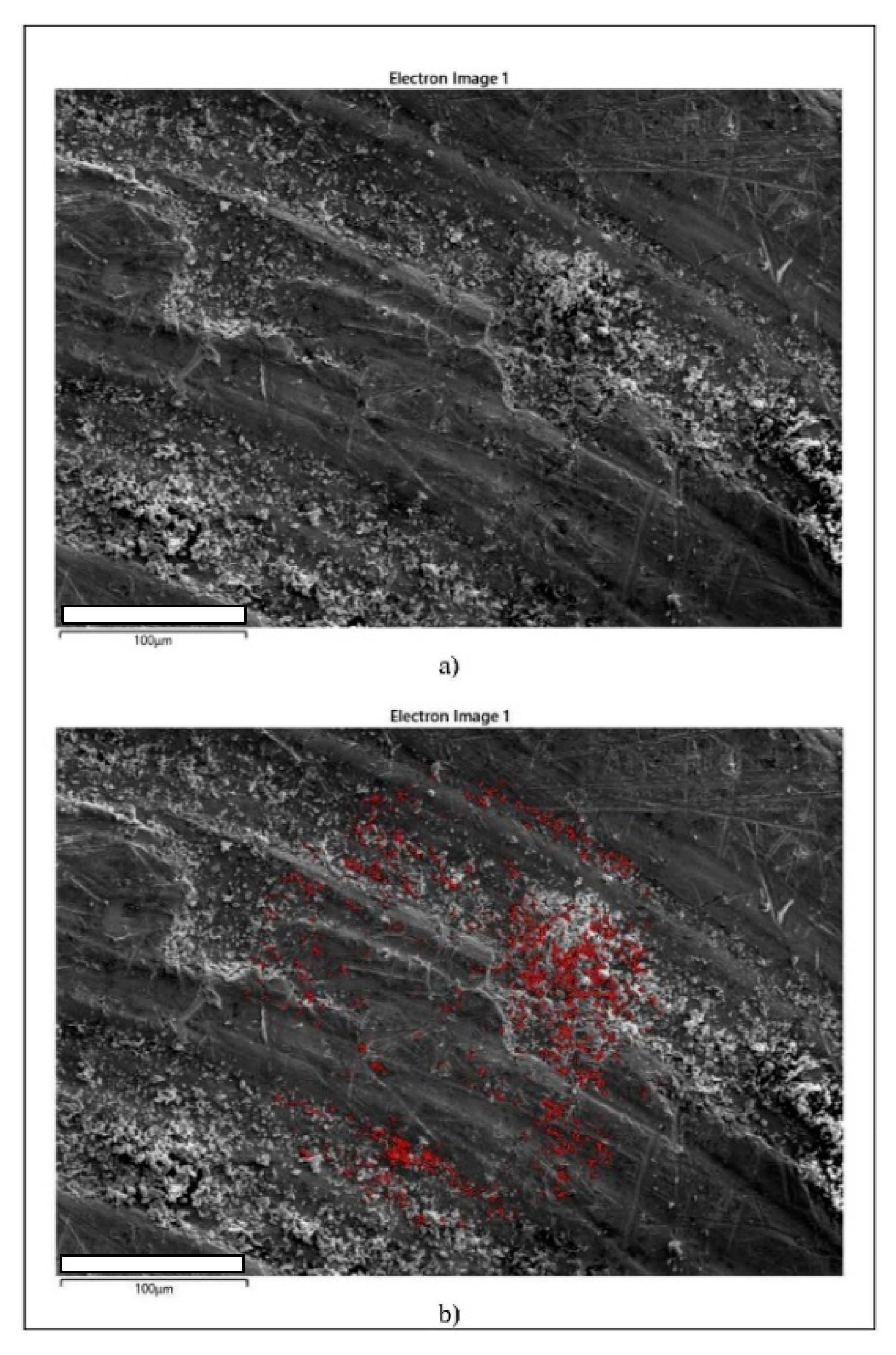 Metals 11 00997 g005