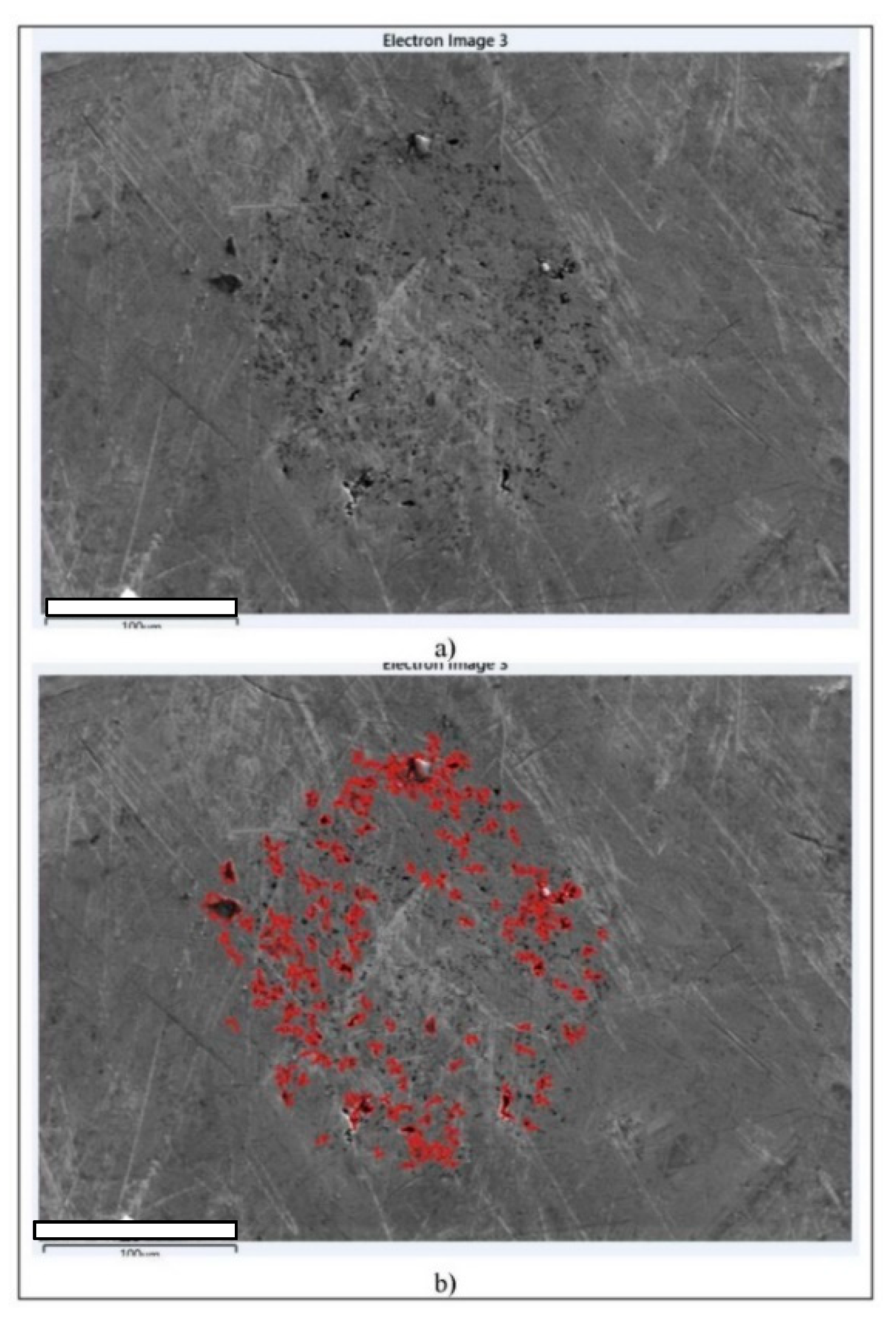 Metals 11 00997 g006