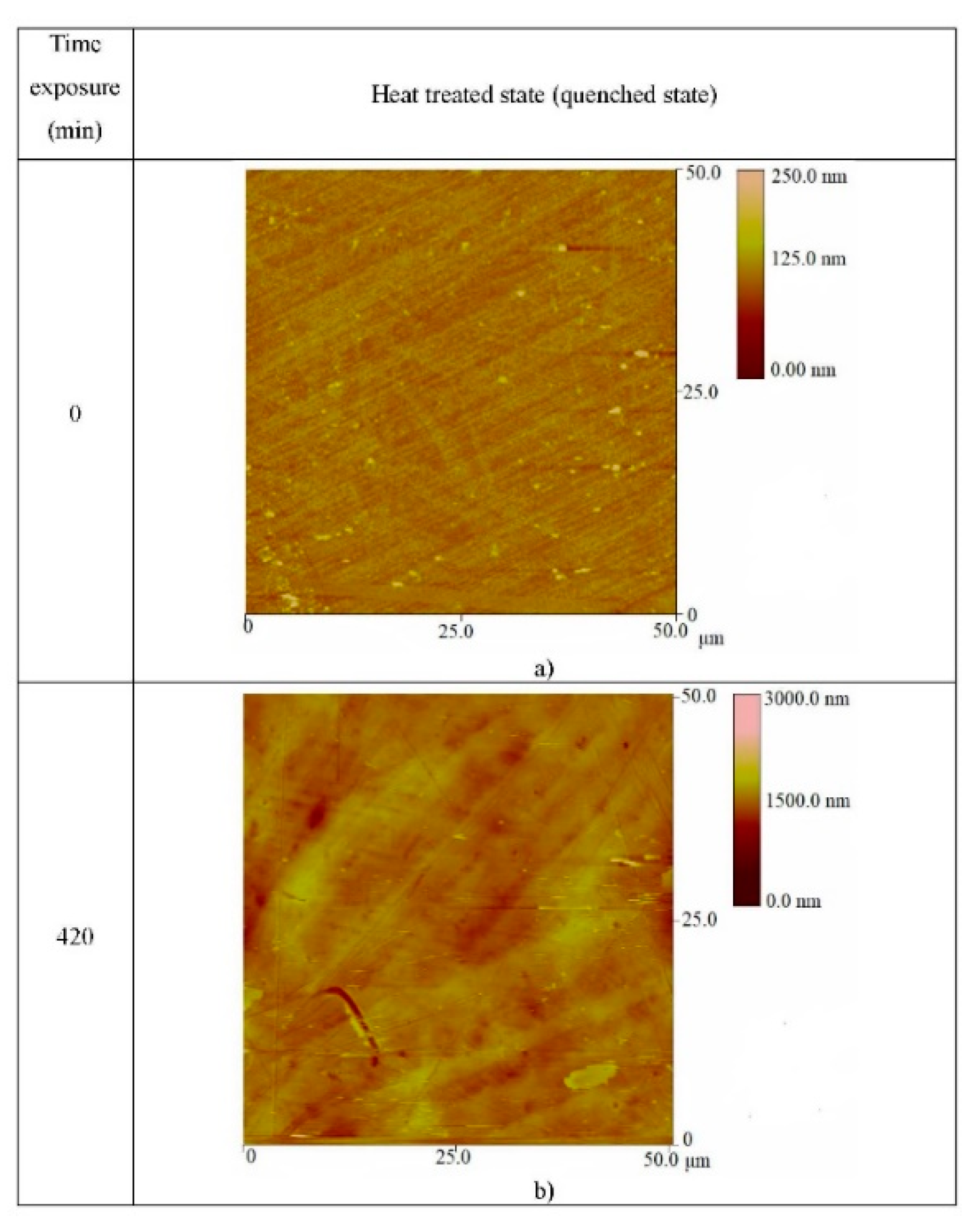 Metals 11 00997 g009