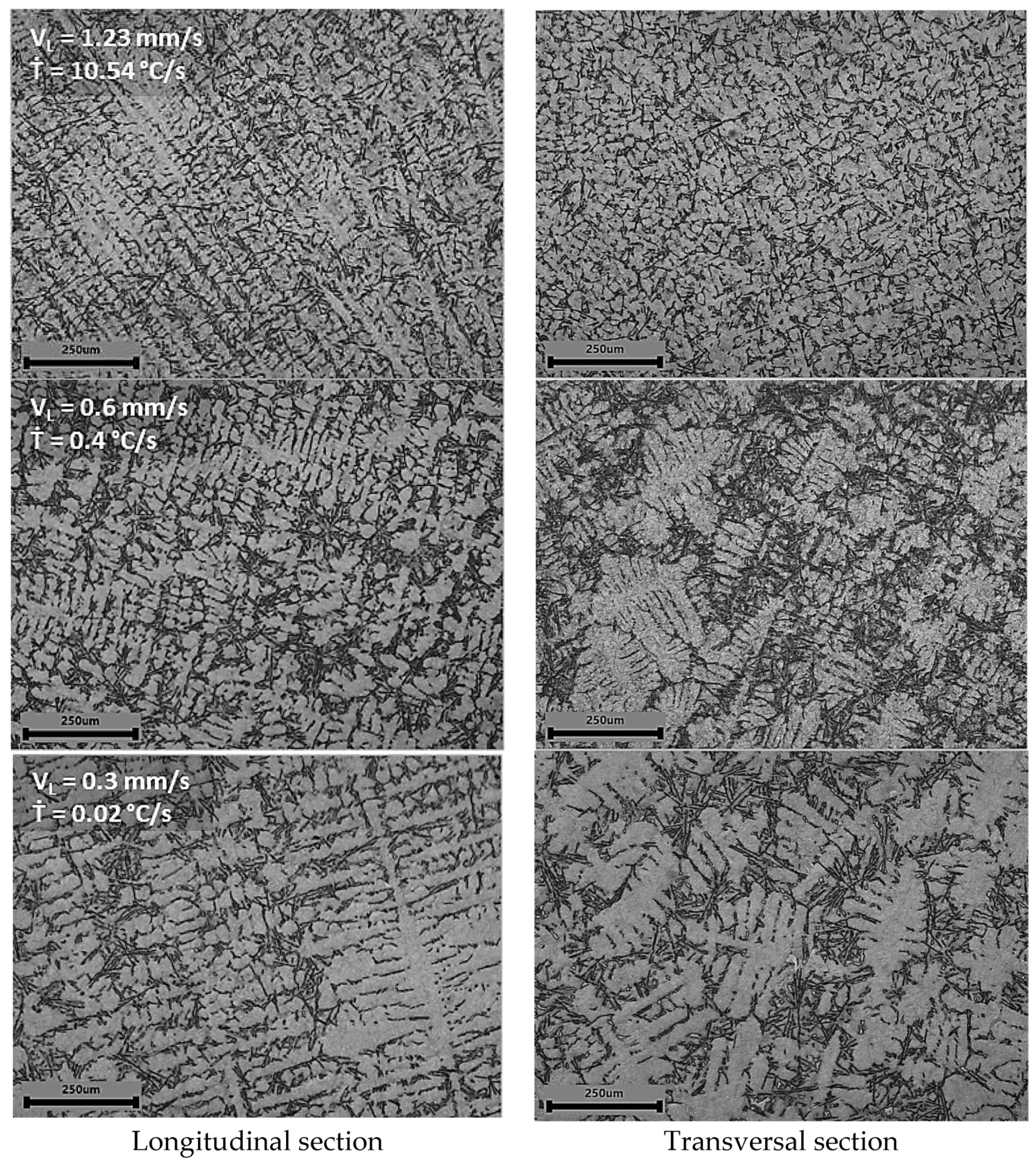 Metals 11 01019 g005