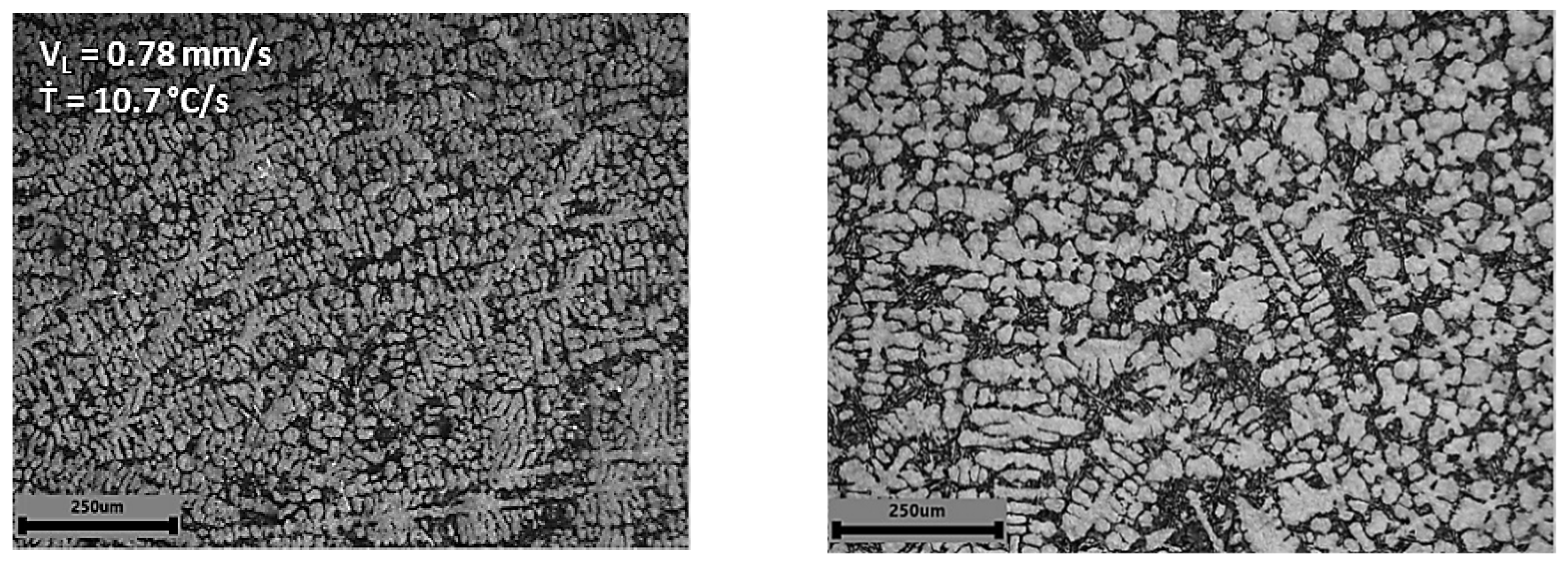 Metals 11 01019 g006a