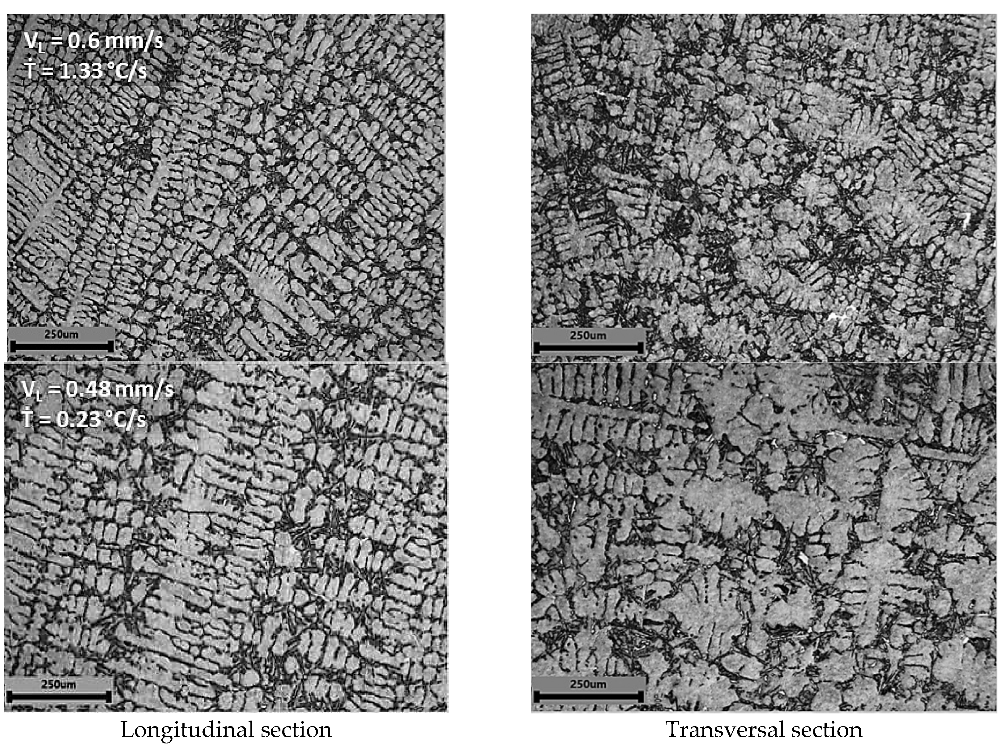 Metals 11 01019 g006b