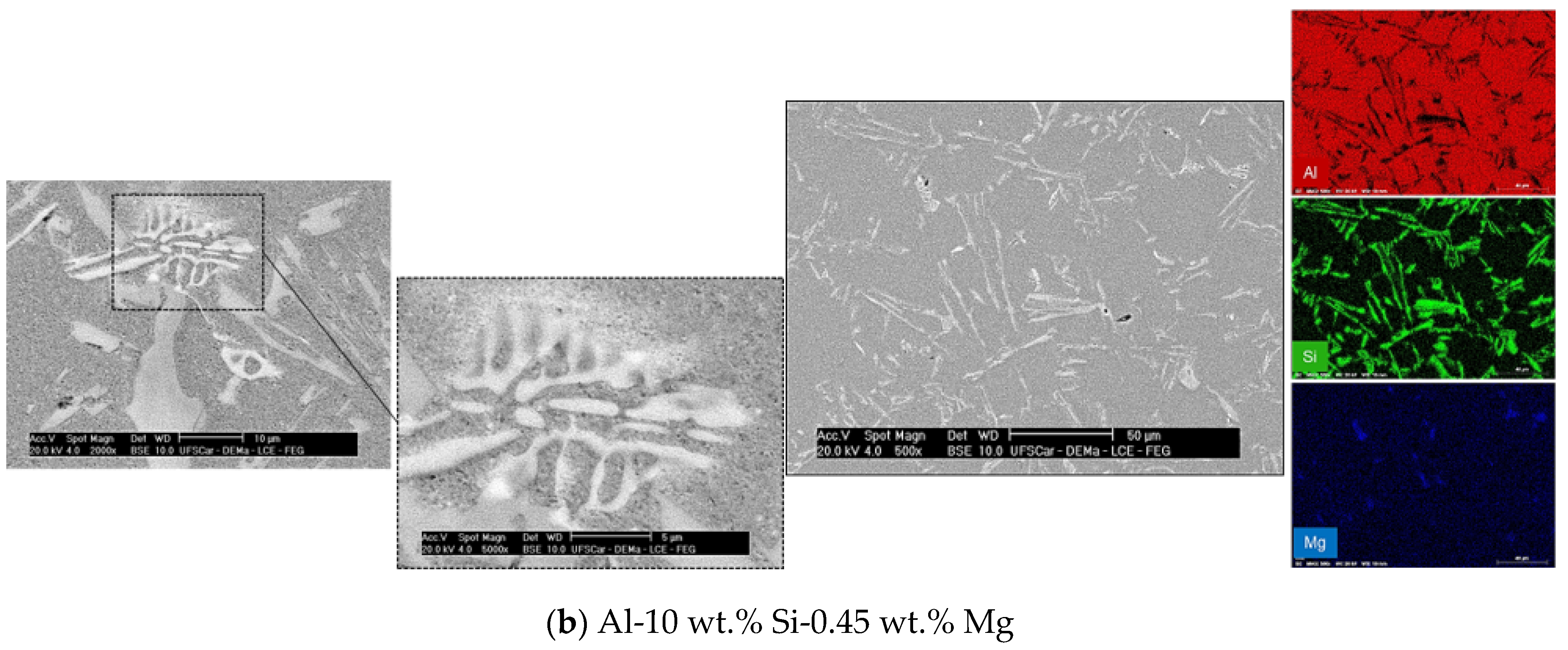Metals 11 01019 g007b