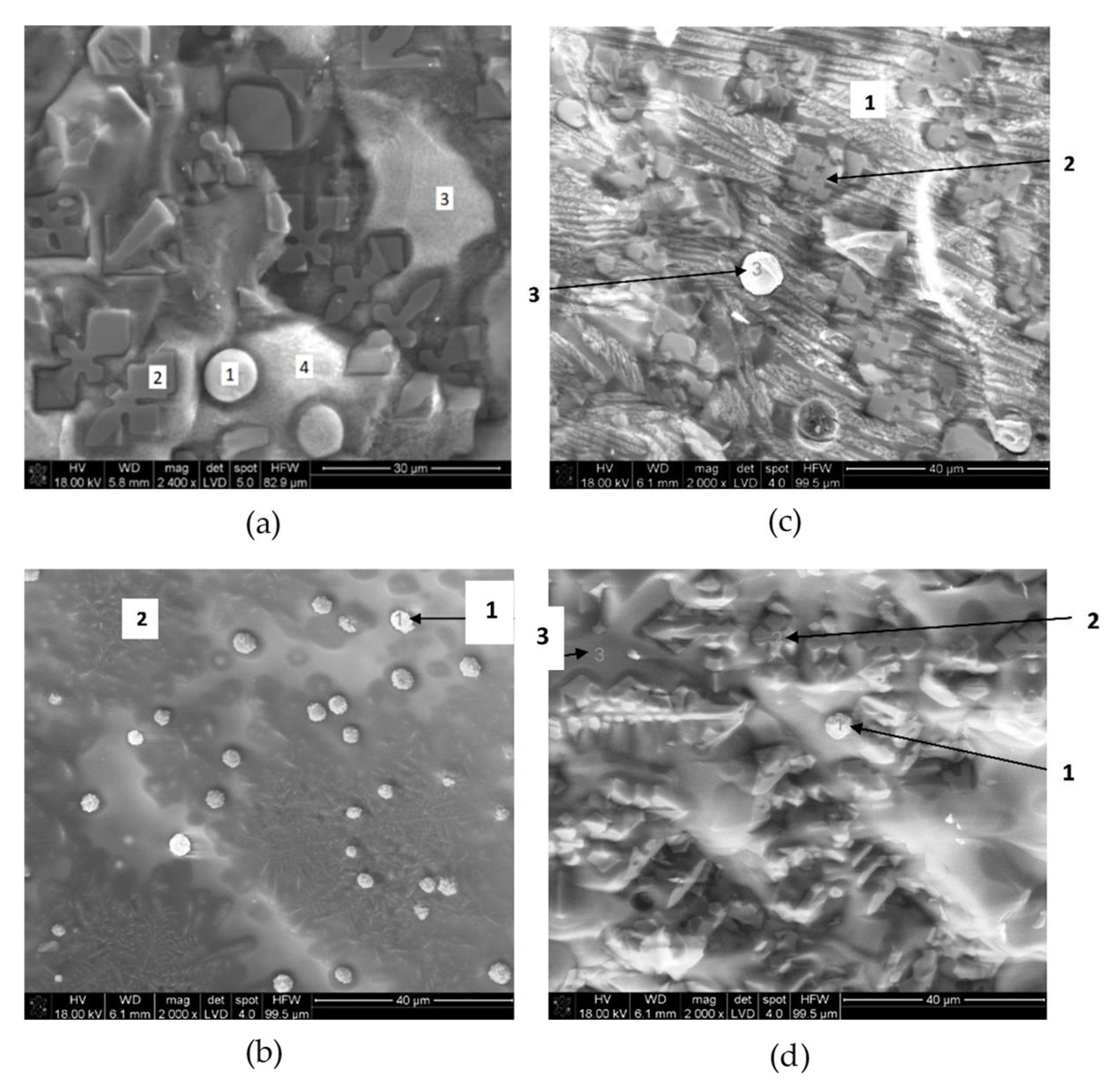 Metals 11 01032 g004