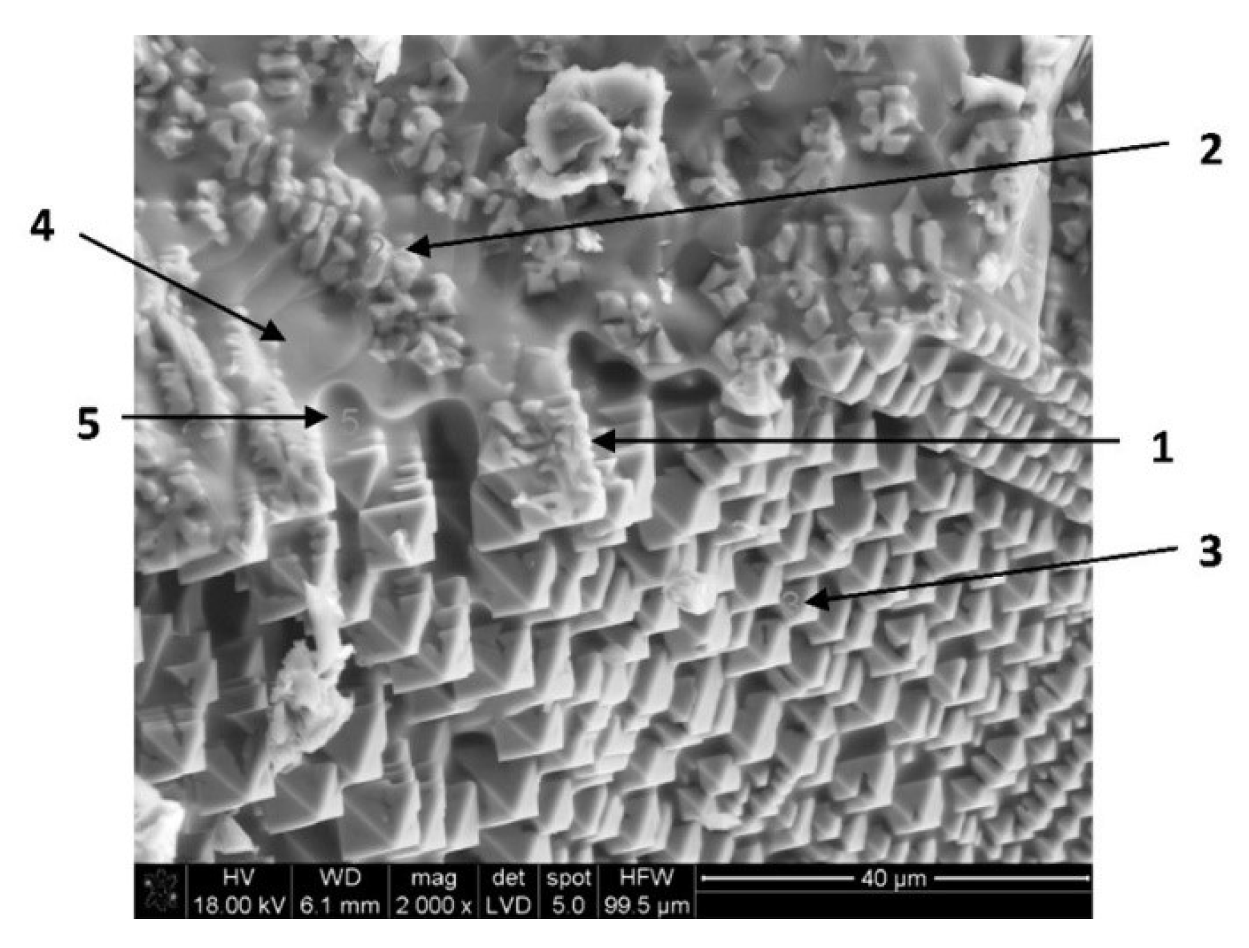 Metals 11 01032 g005